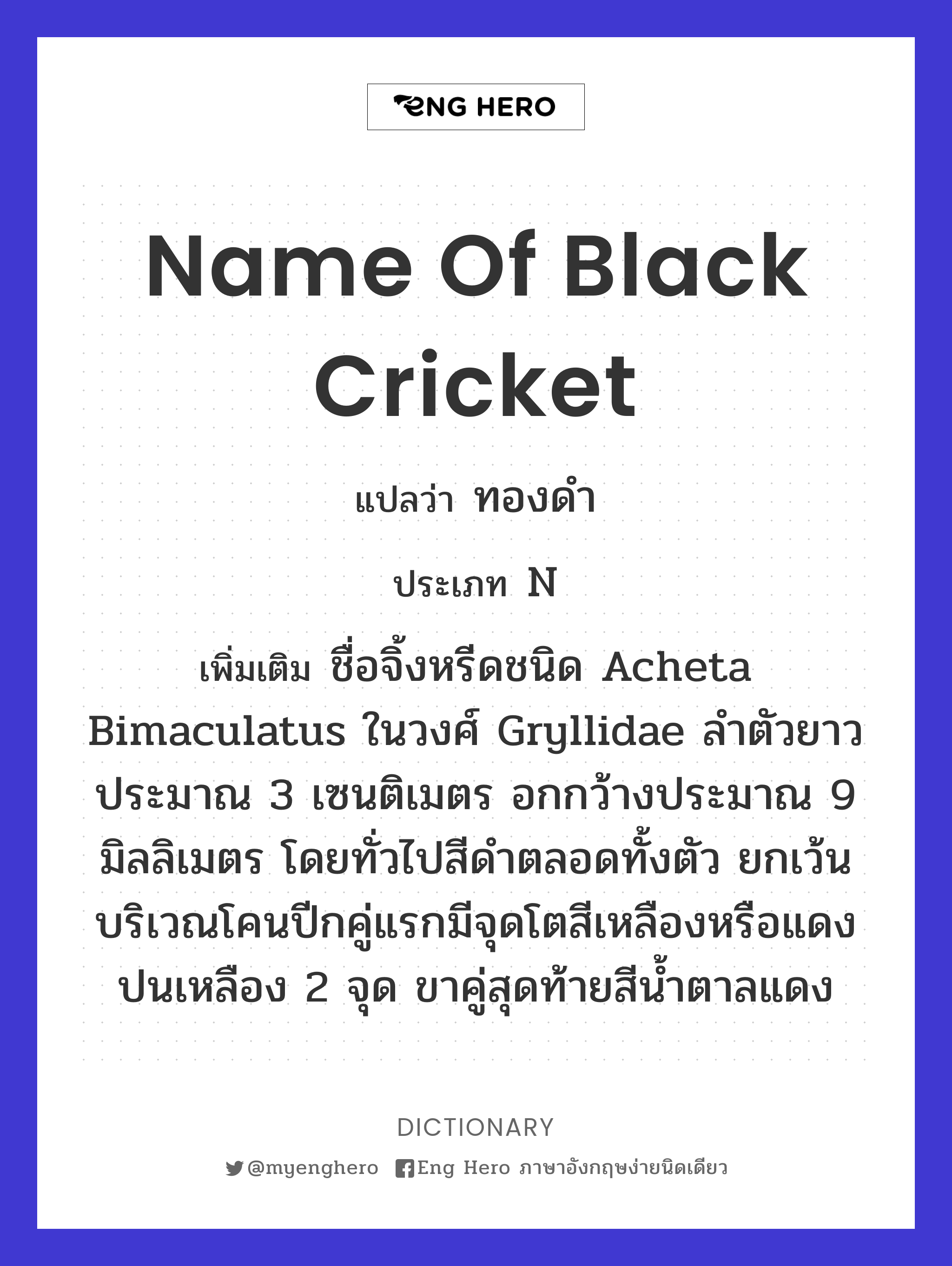 name of black cricket