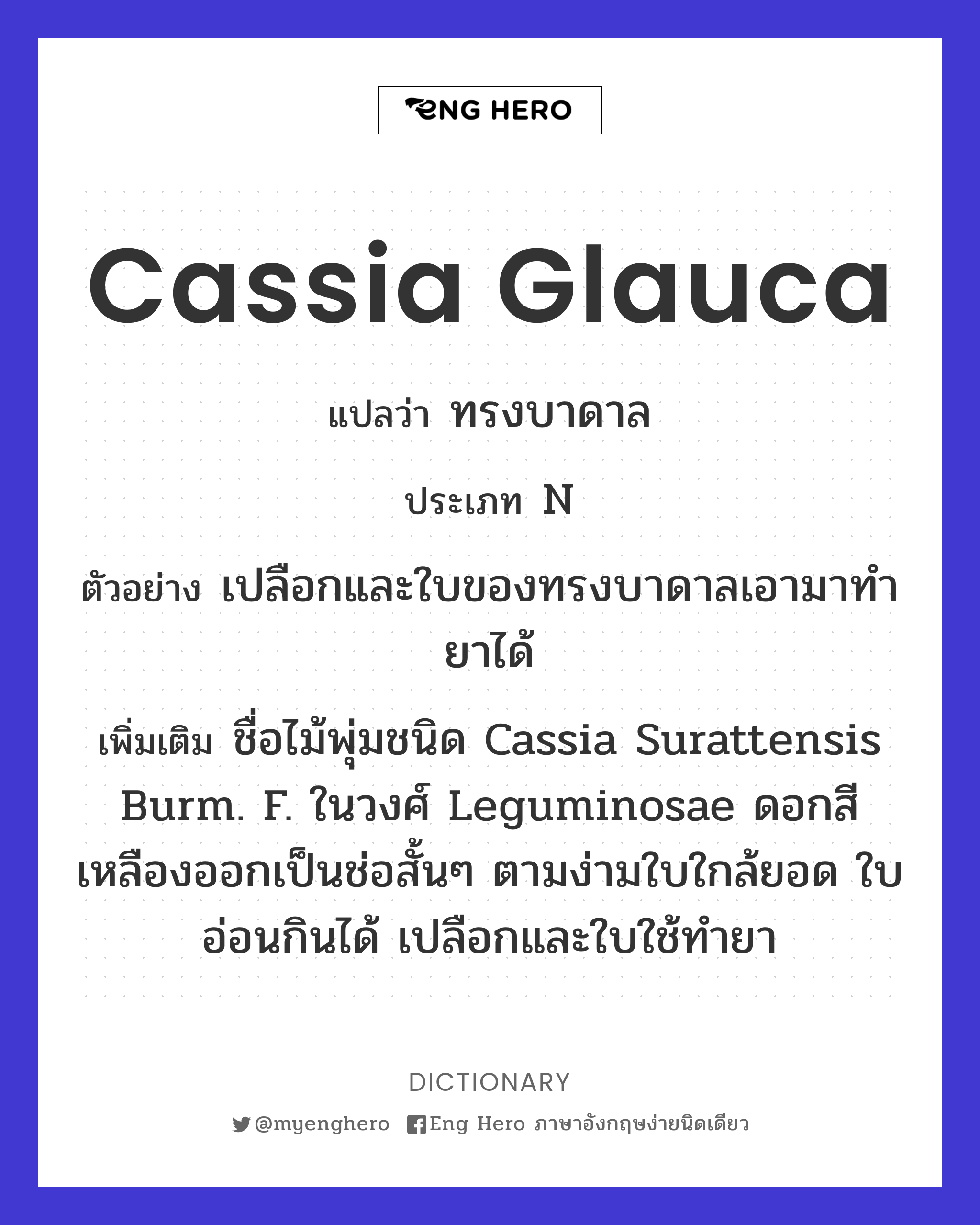 Cassia glauca