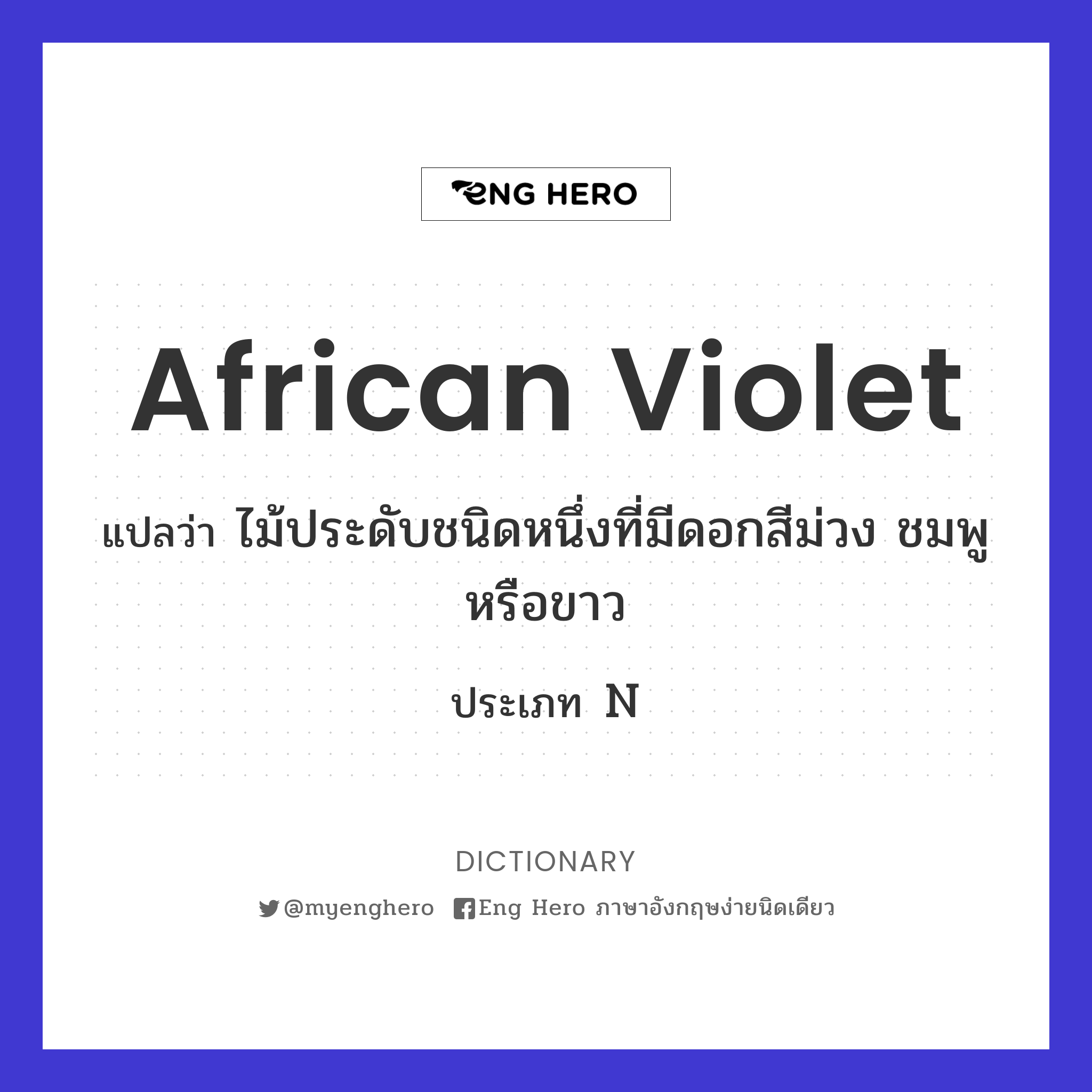 African violet