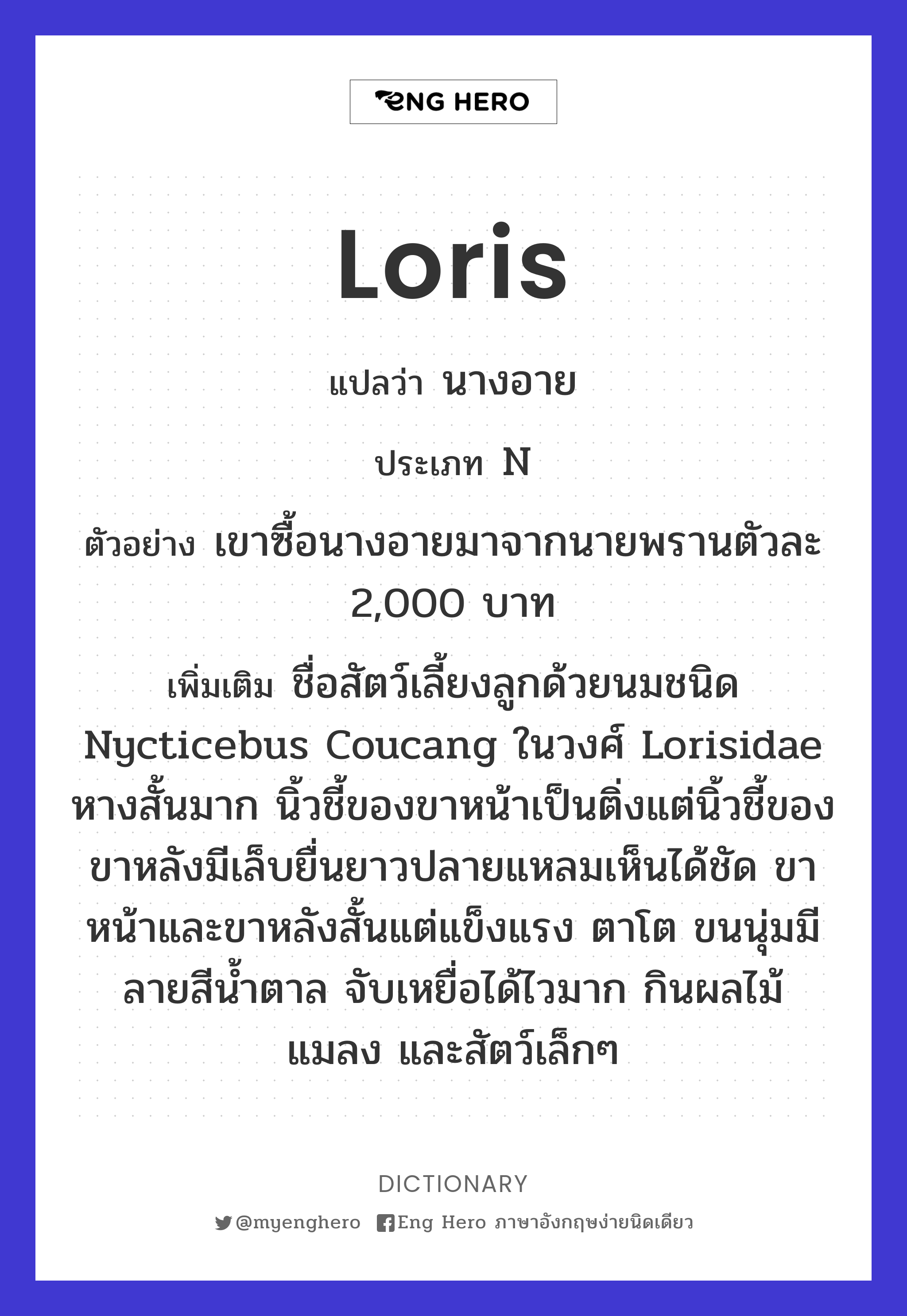 loris