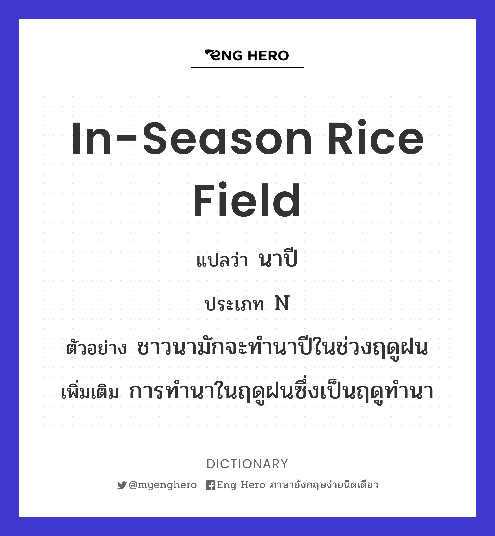 in-season rice field