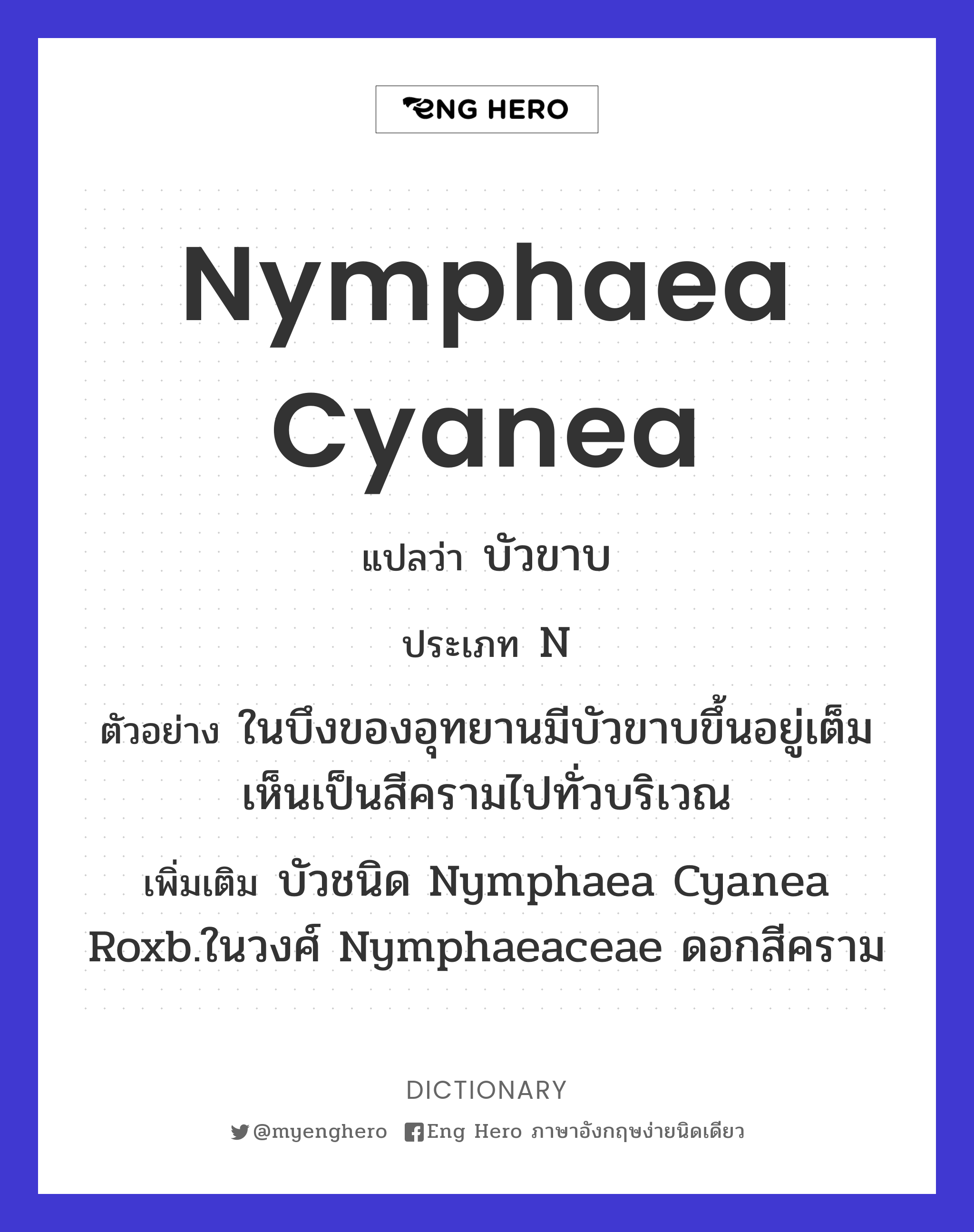 Nymphaea cyanea