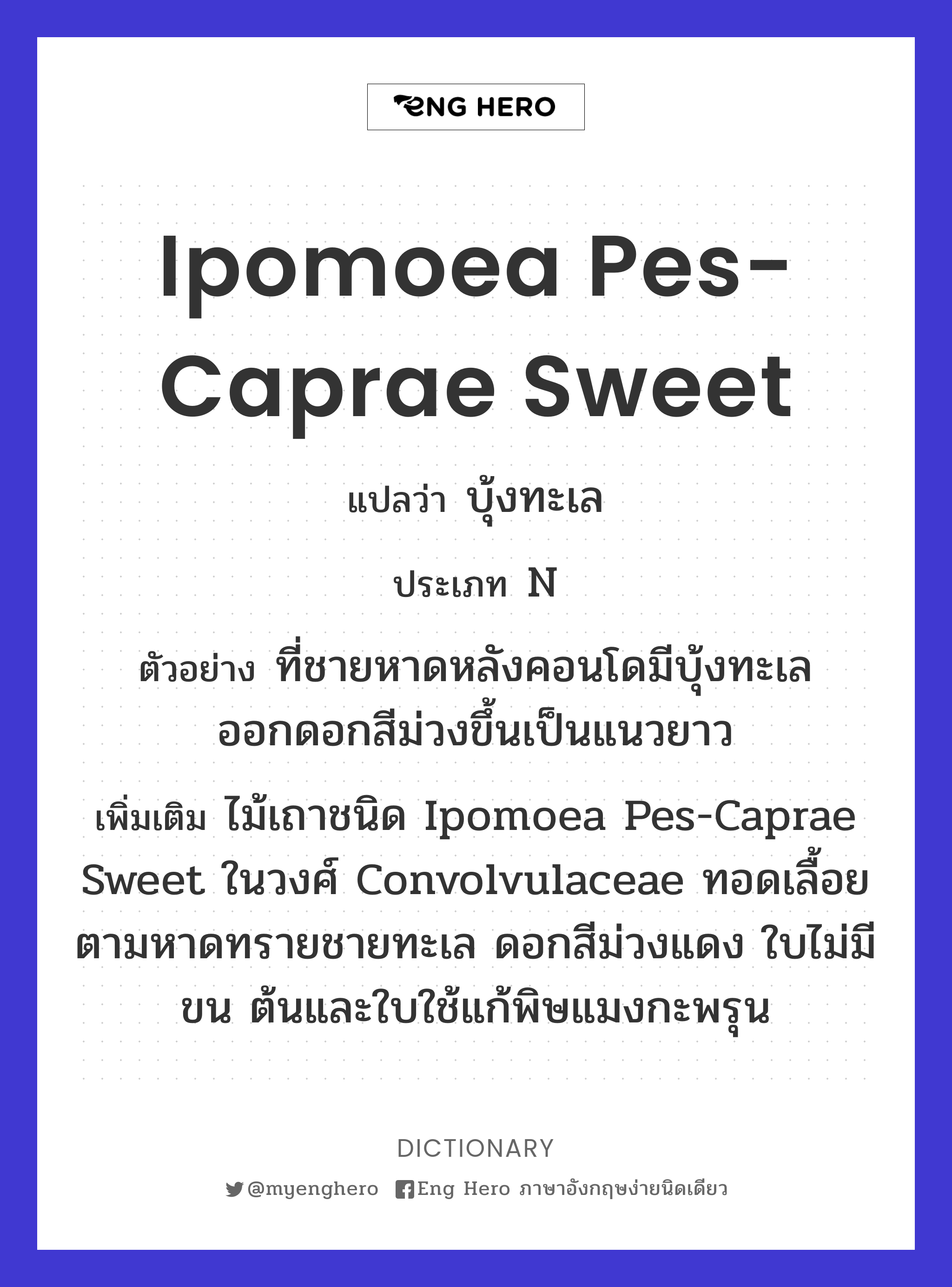 Ipomoea pes-caprae Sweet