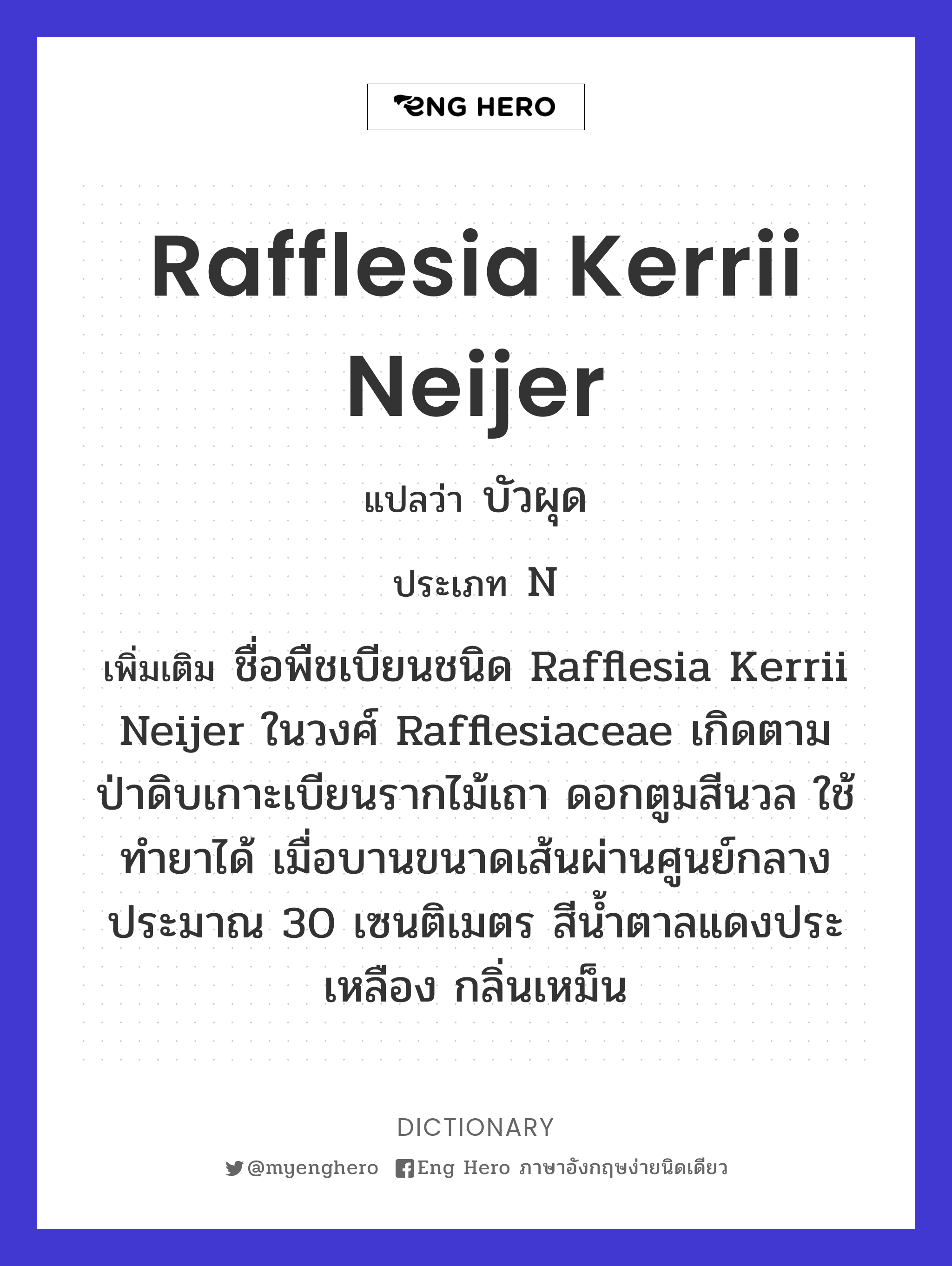 Rafflesia kerrii Neijer