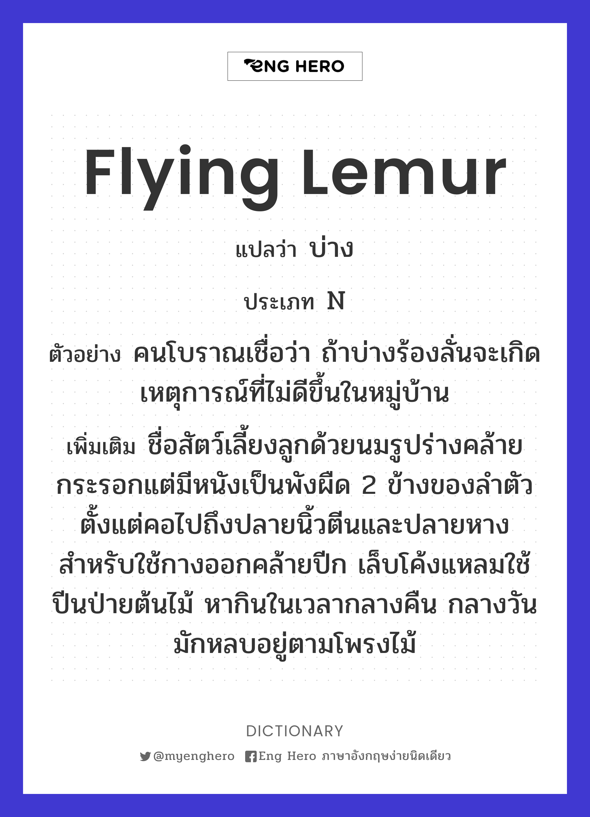 flying lemur