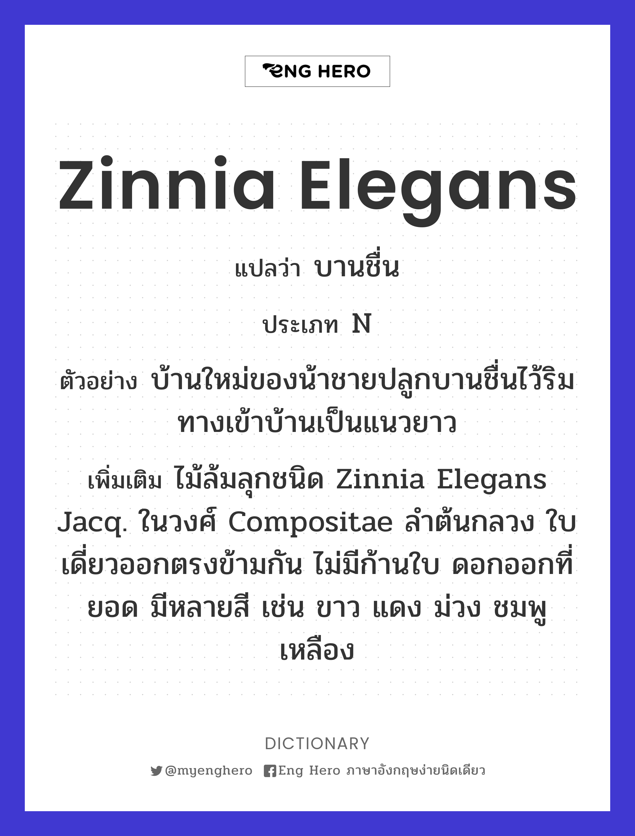 Zinnia elegans
