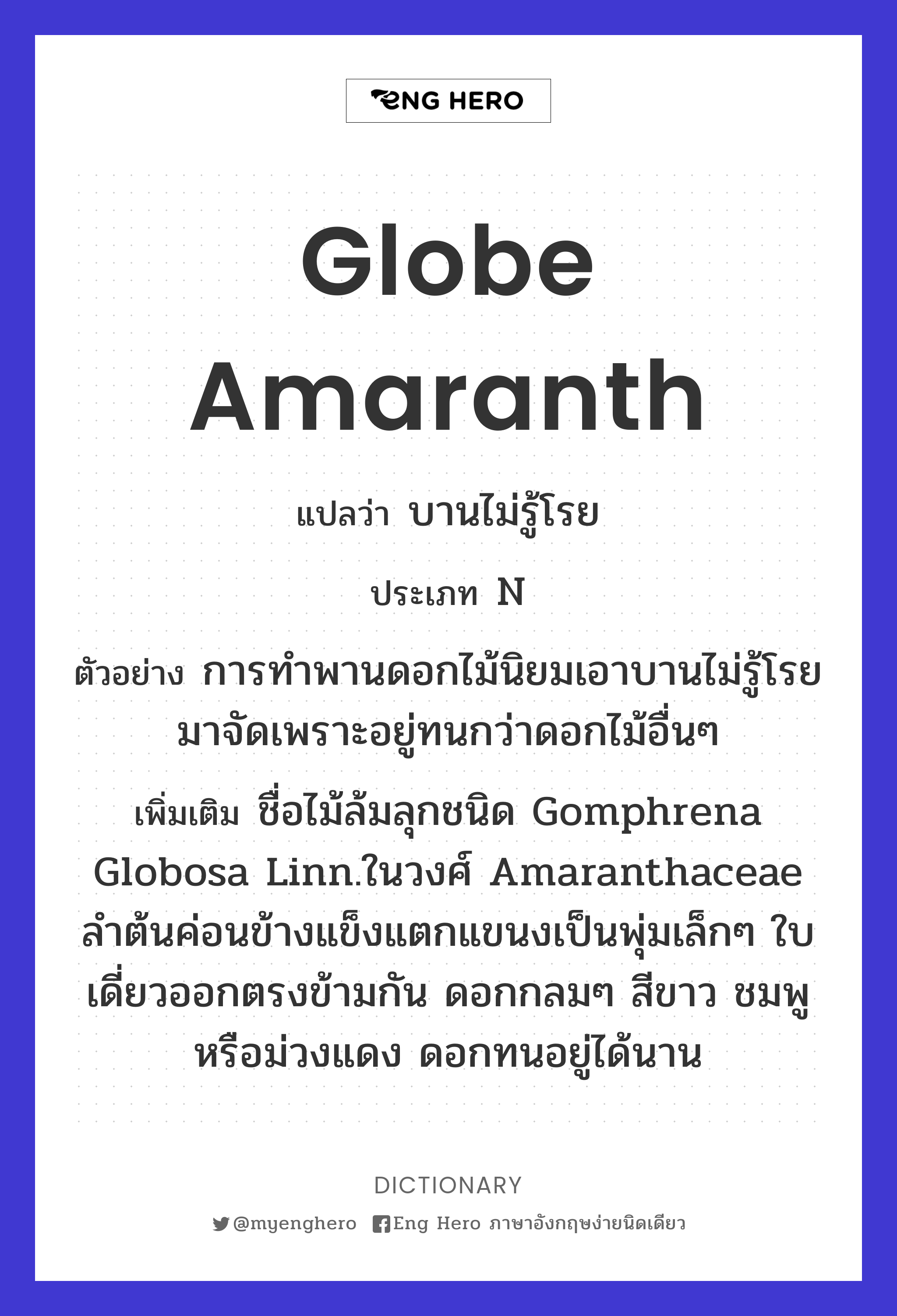 Globe amaranth