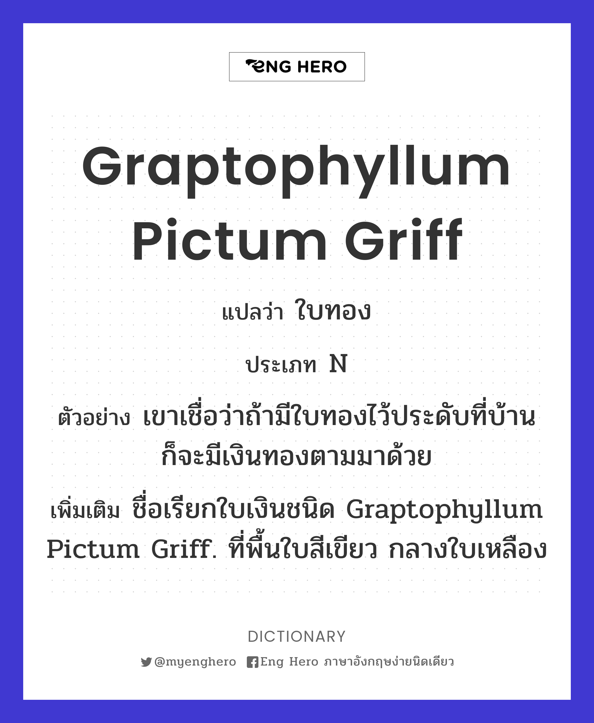 Graptophyllum pictum Griff