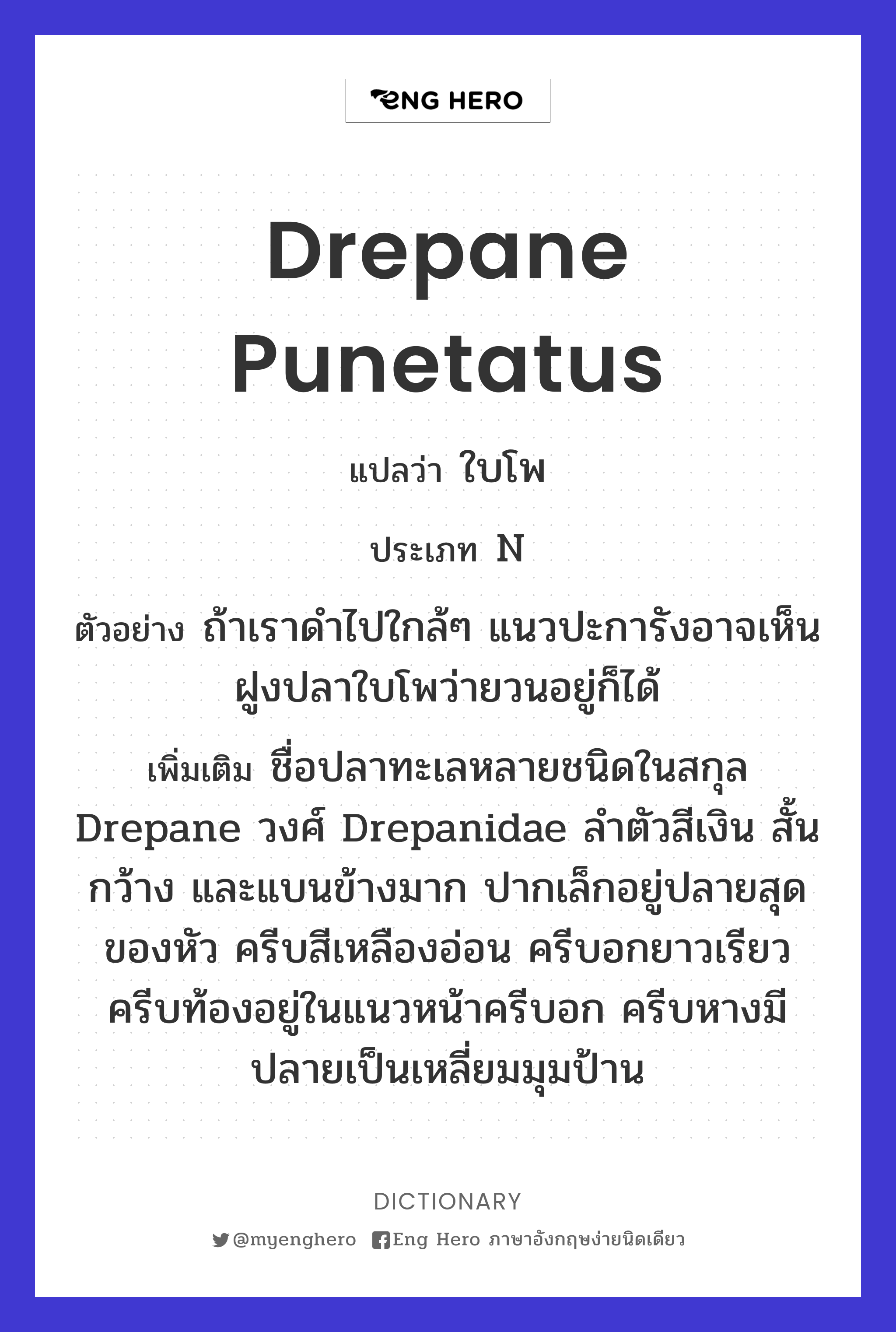 drepane punetatus