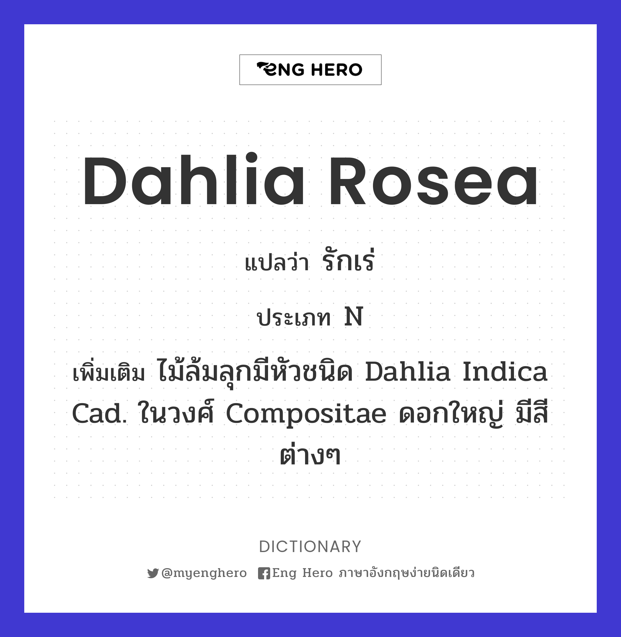 Dahlia rosea