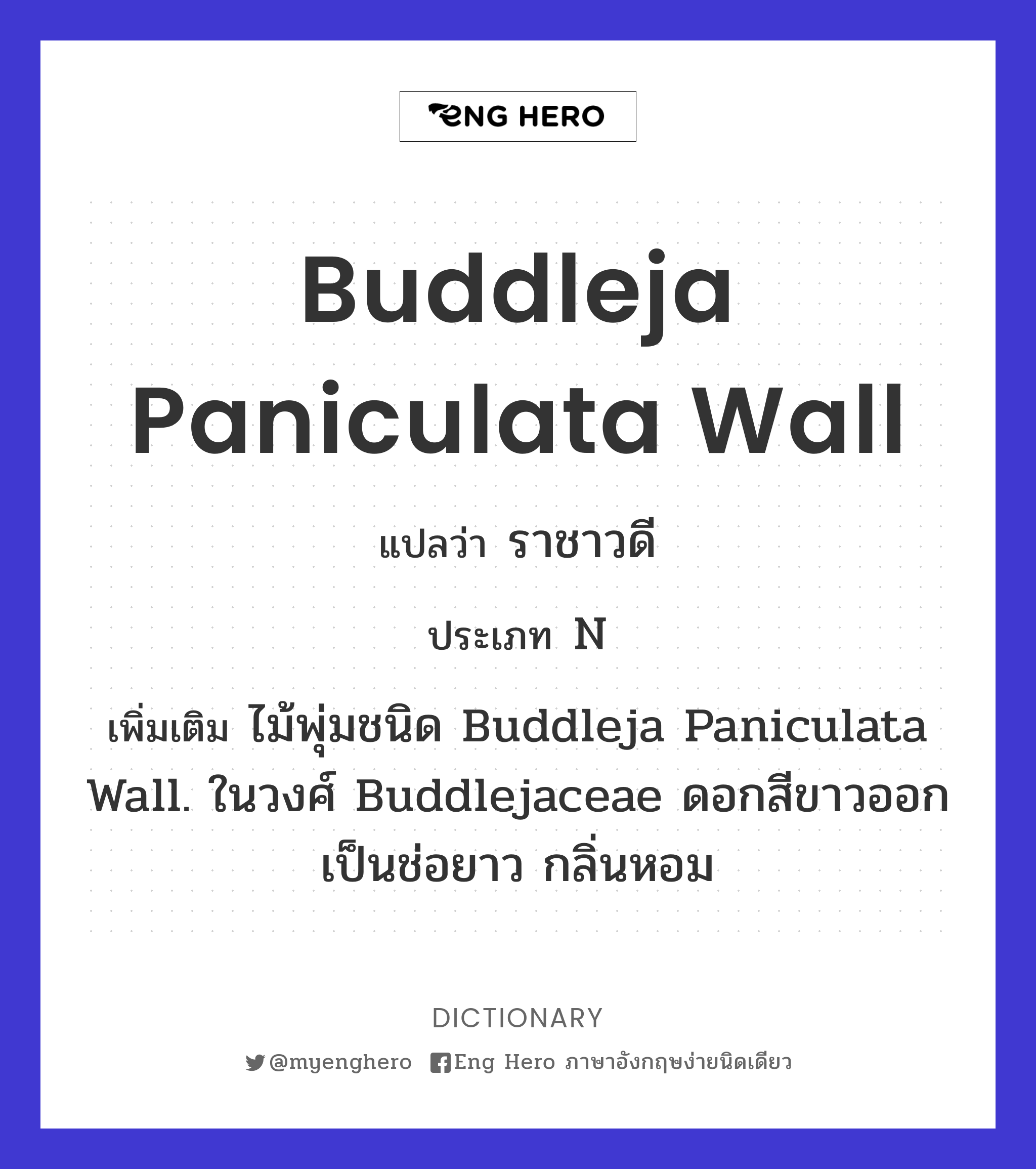 Buddleja paniculata Wall