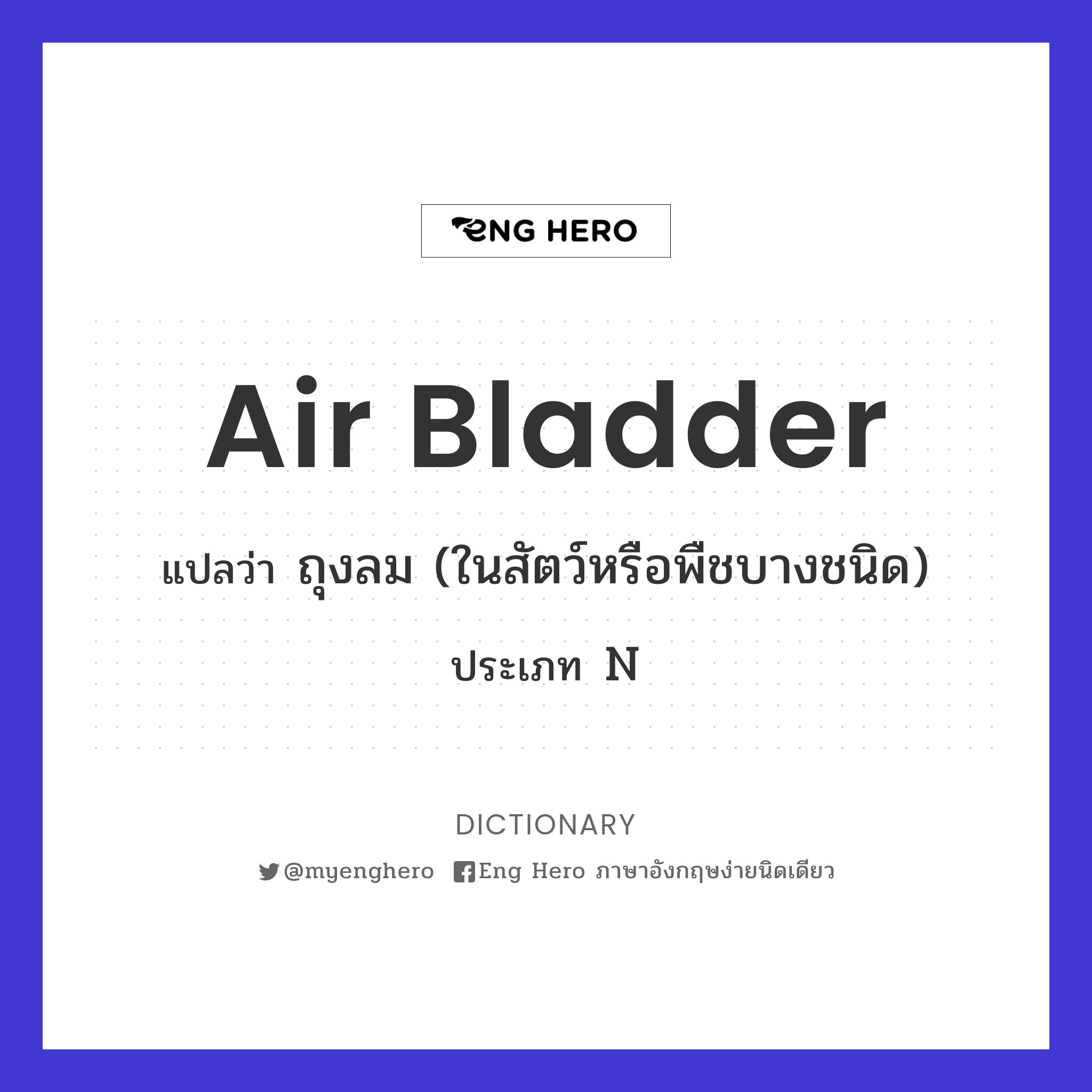 air bladder