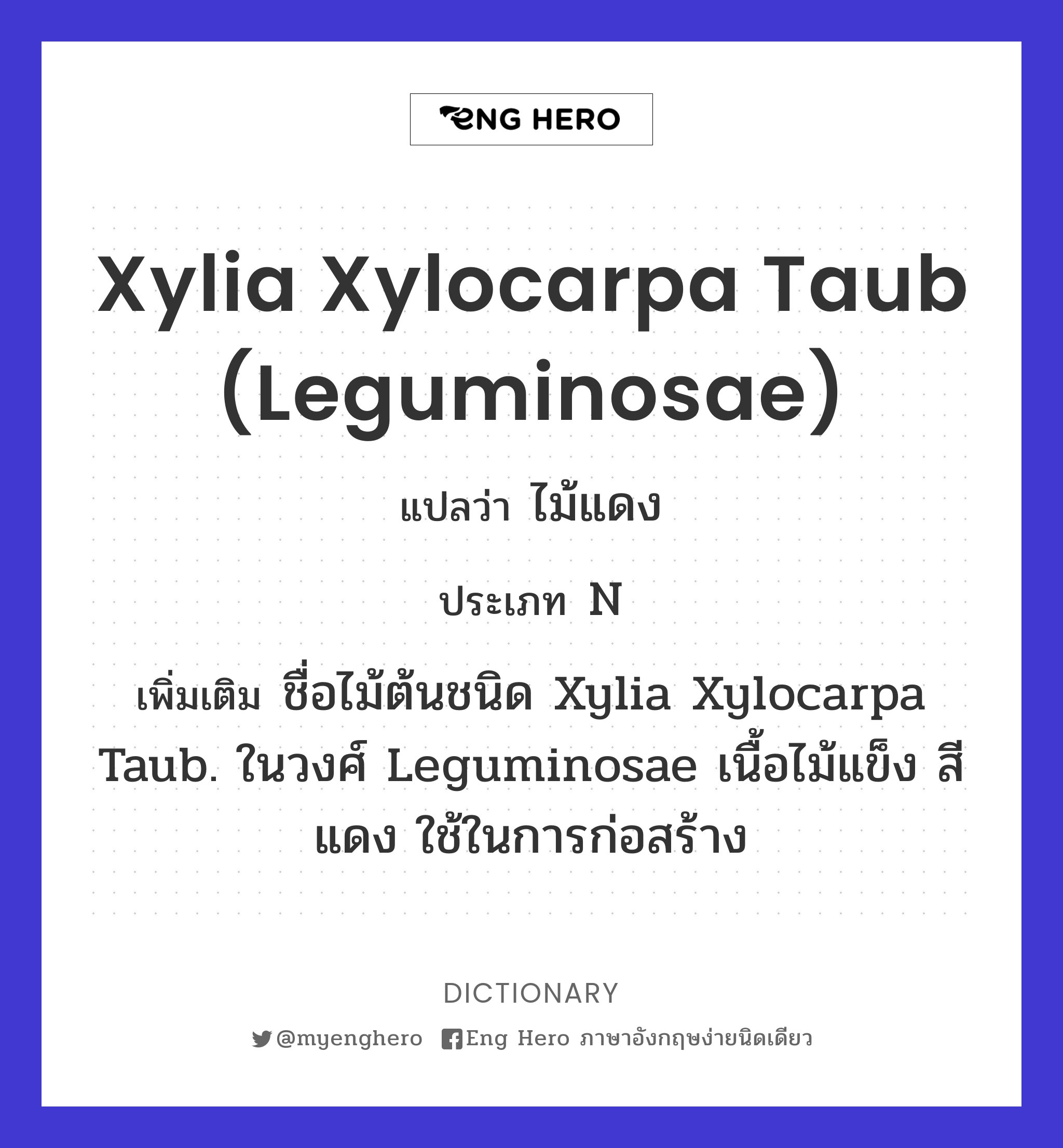 Xylia xylocarpa Taub (Leguminosae)