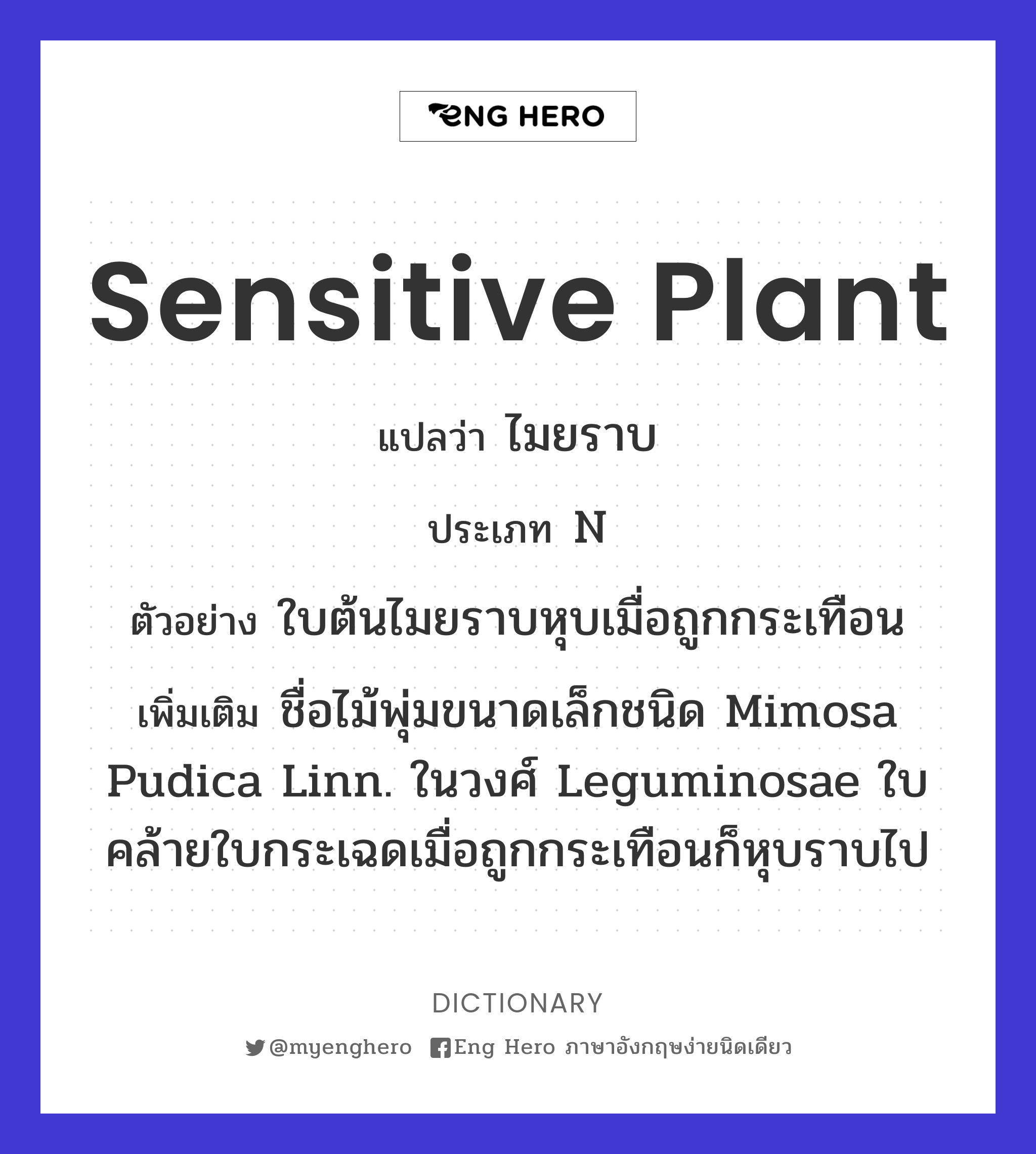 sensitive plant