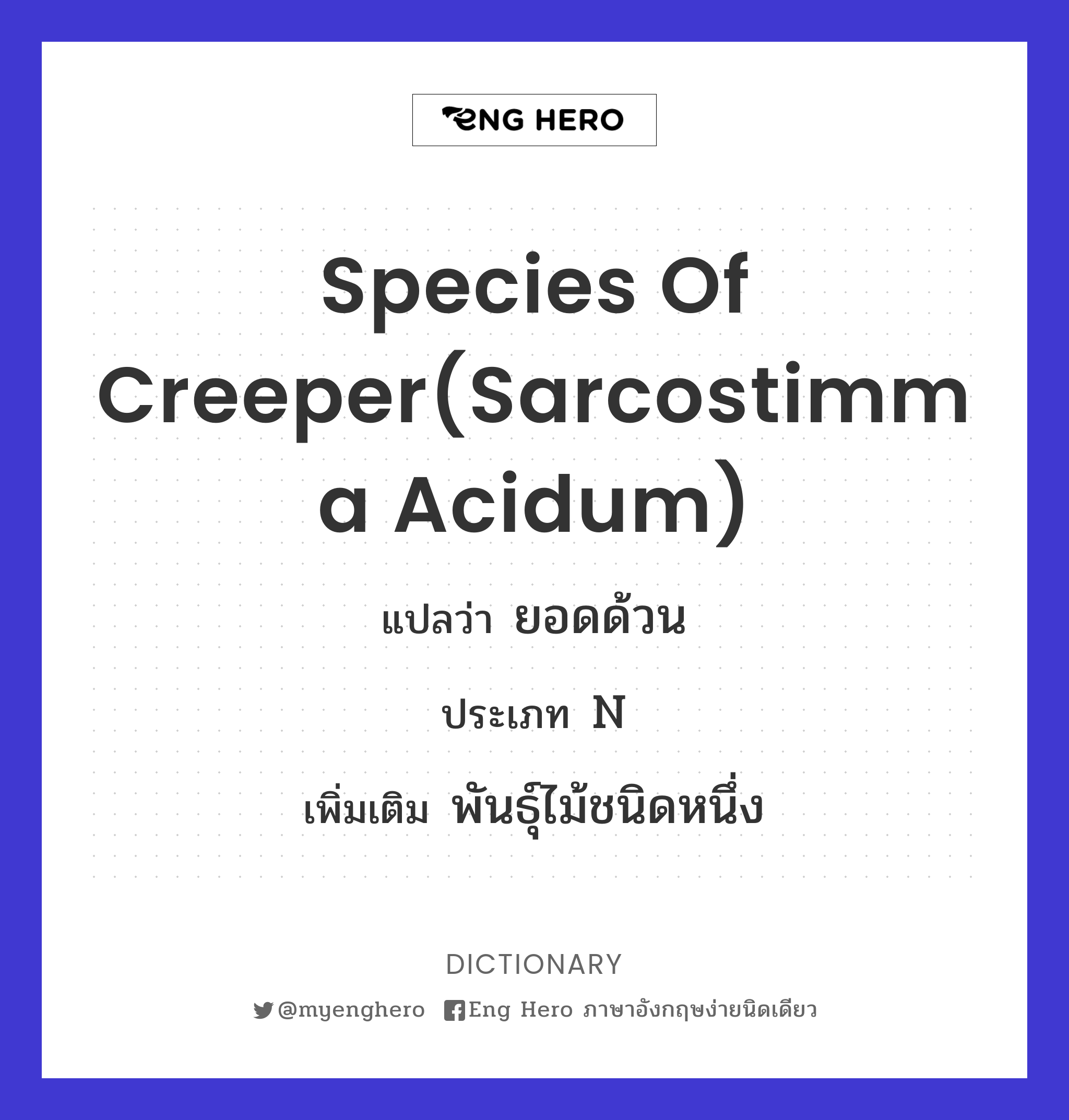 species of creeper(sarcostimma acidum)