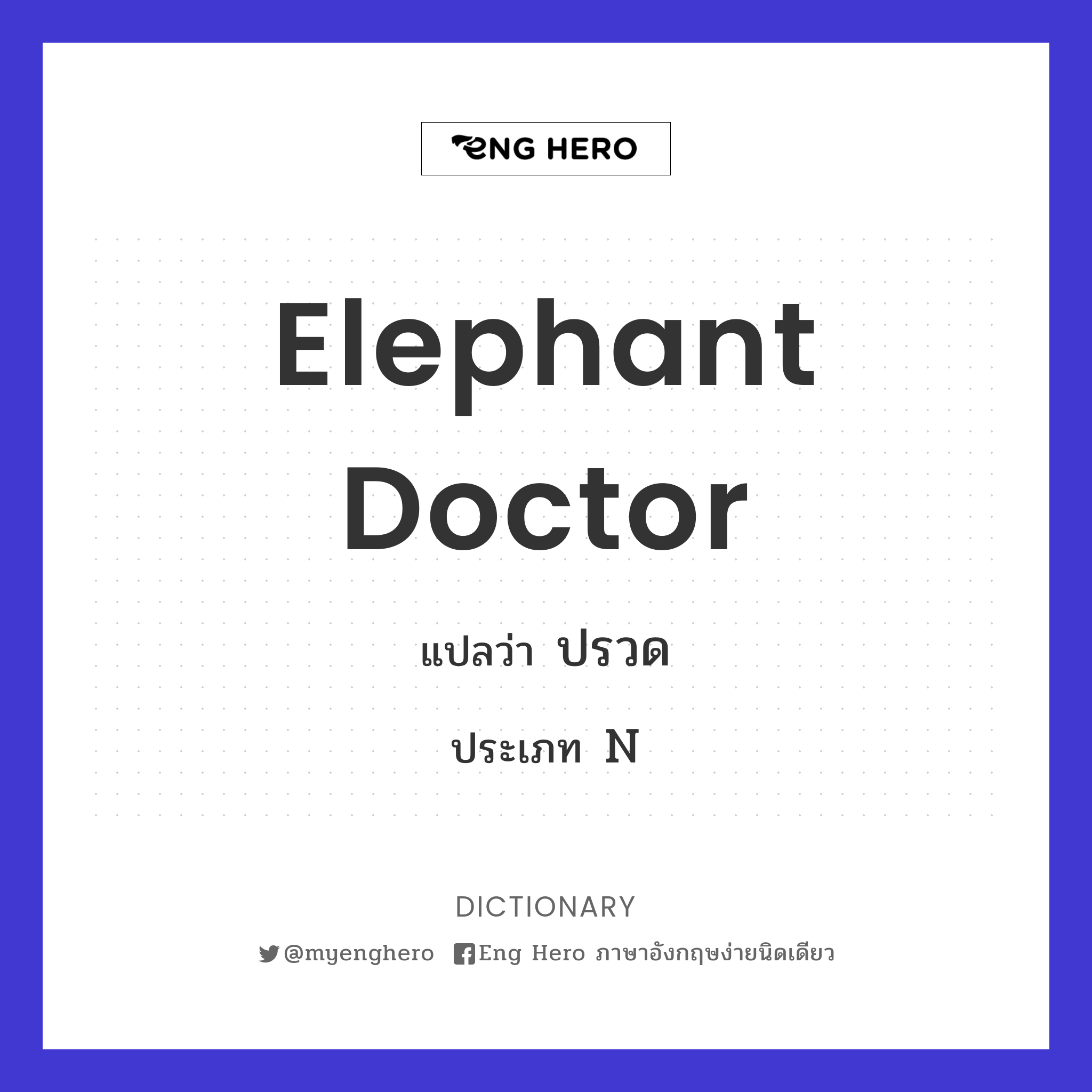 elephant doctor