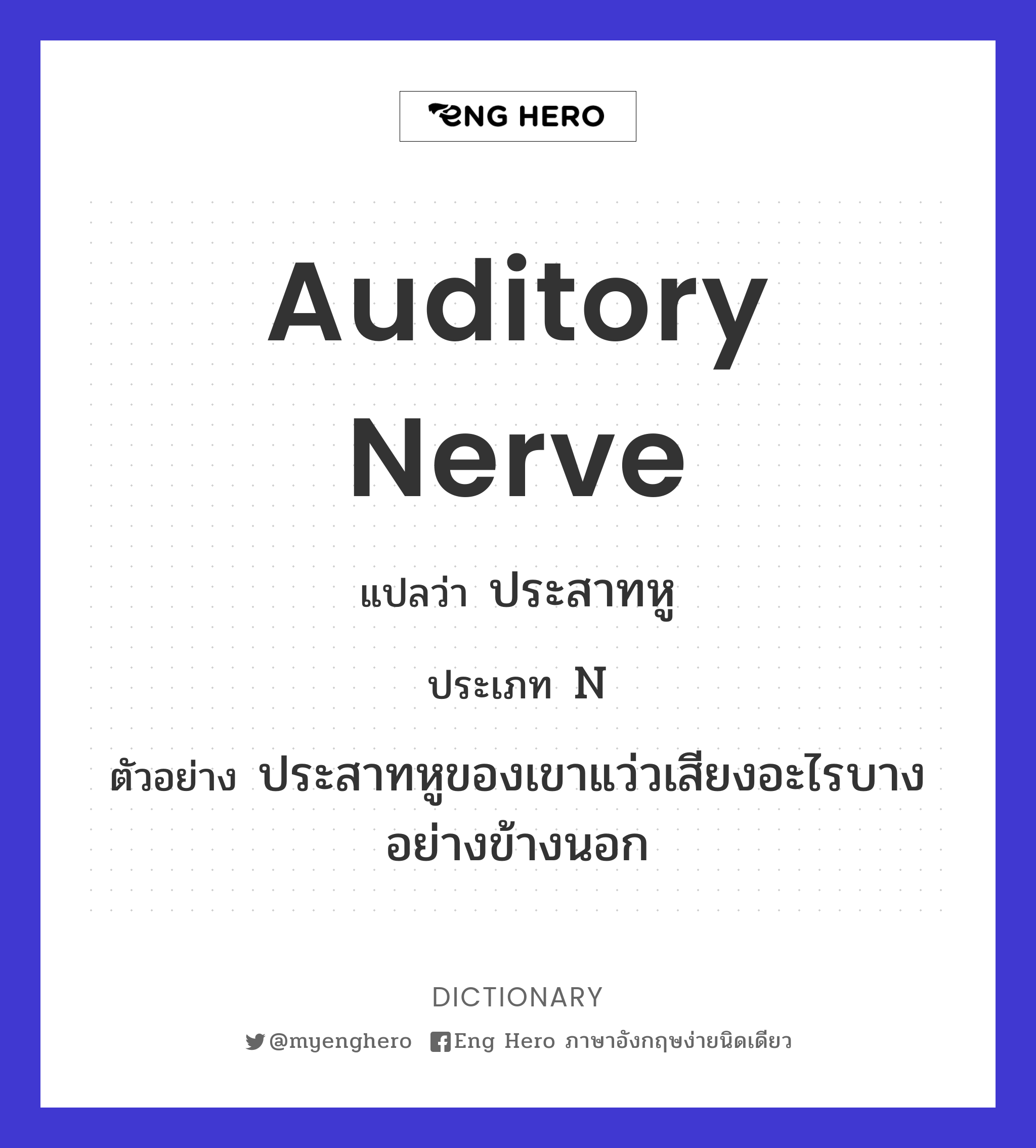 auditory nerve