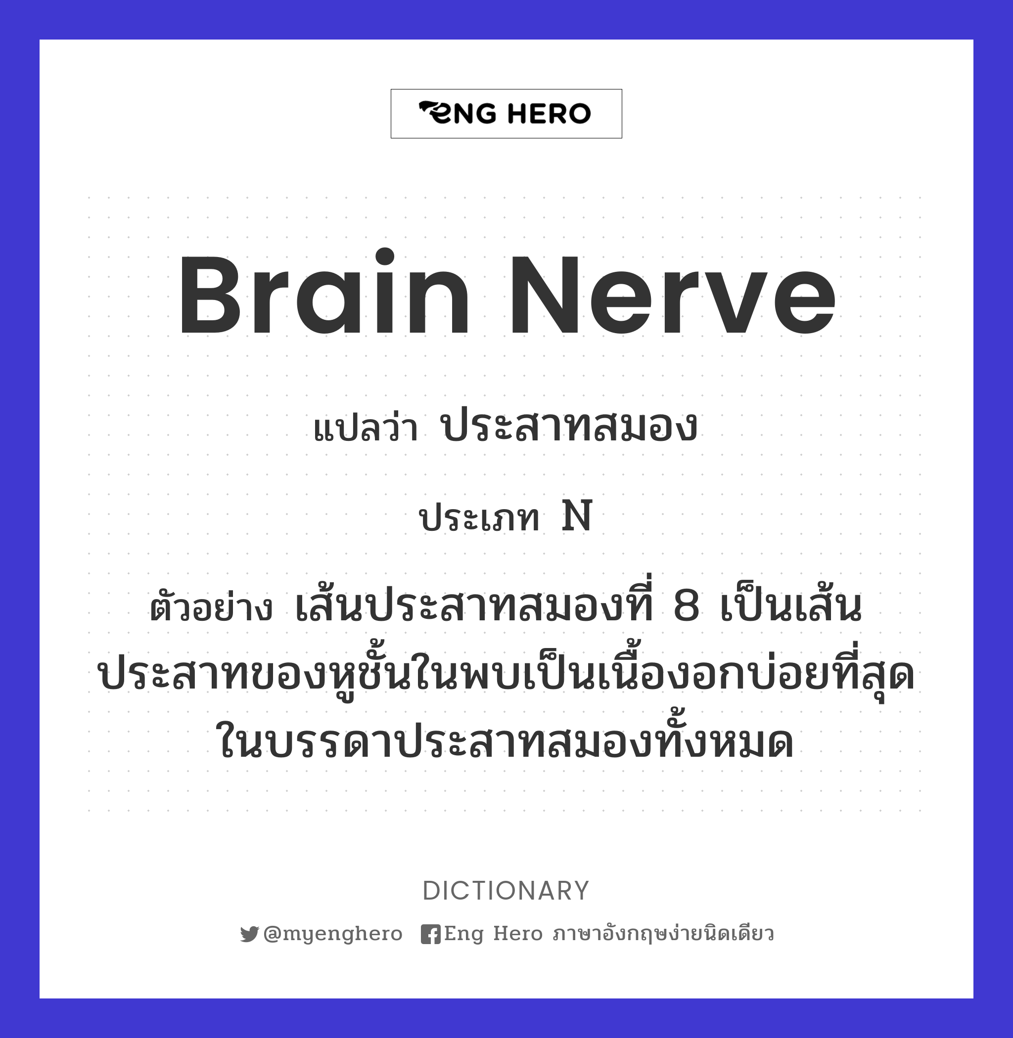 brain nerve