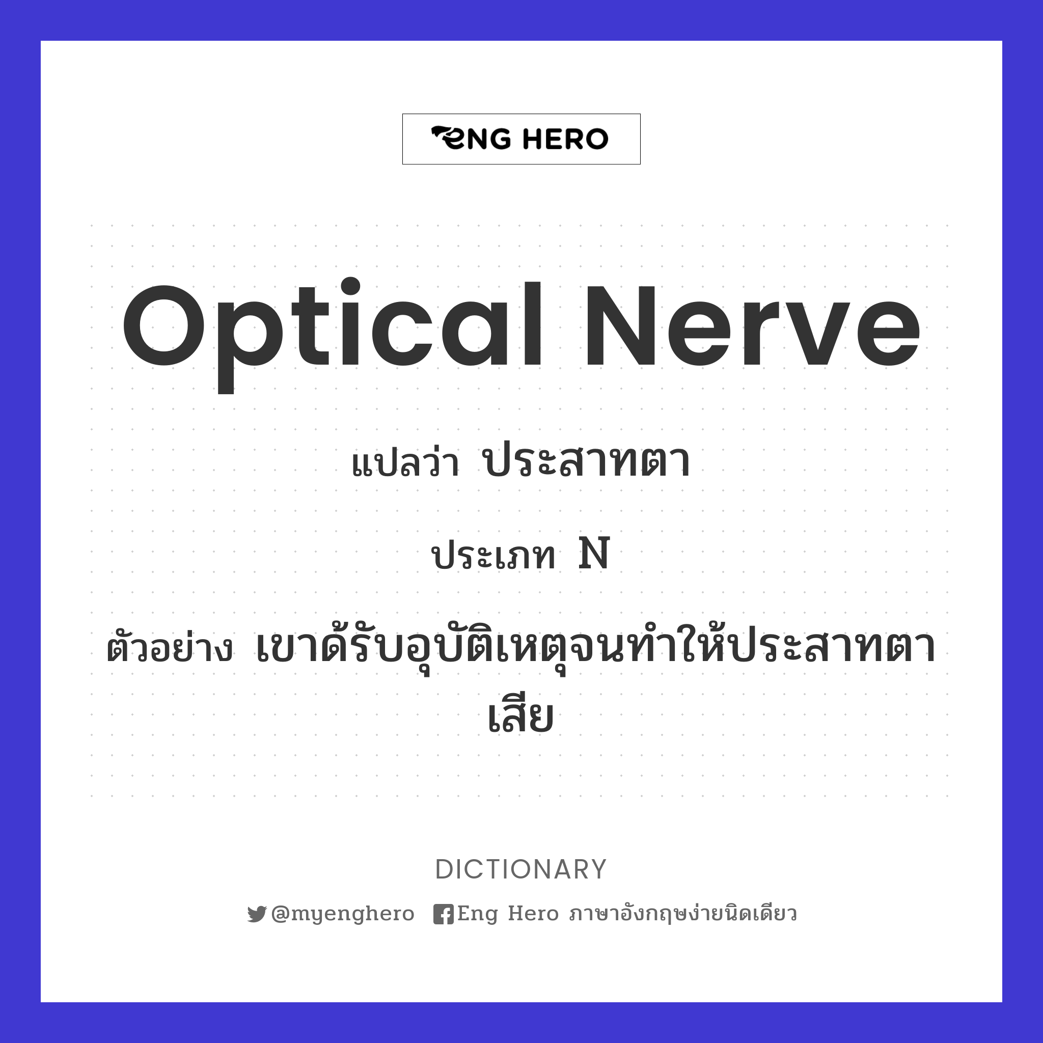 optical nerve
