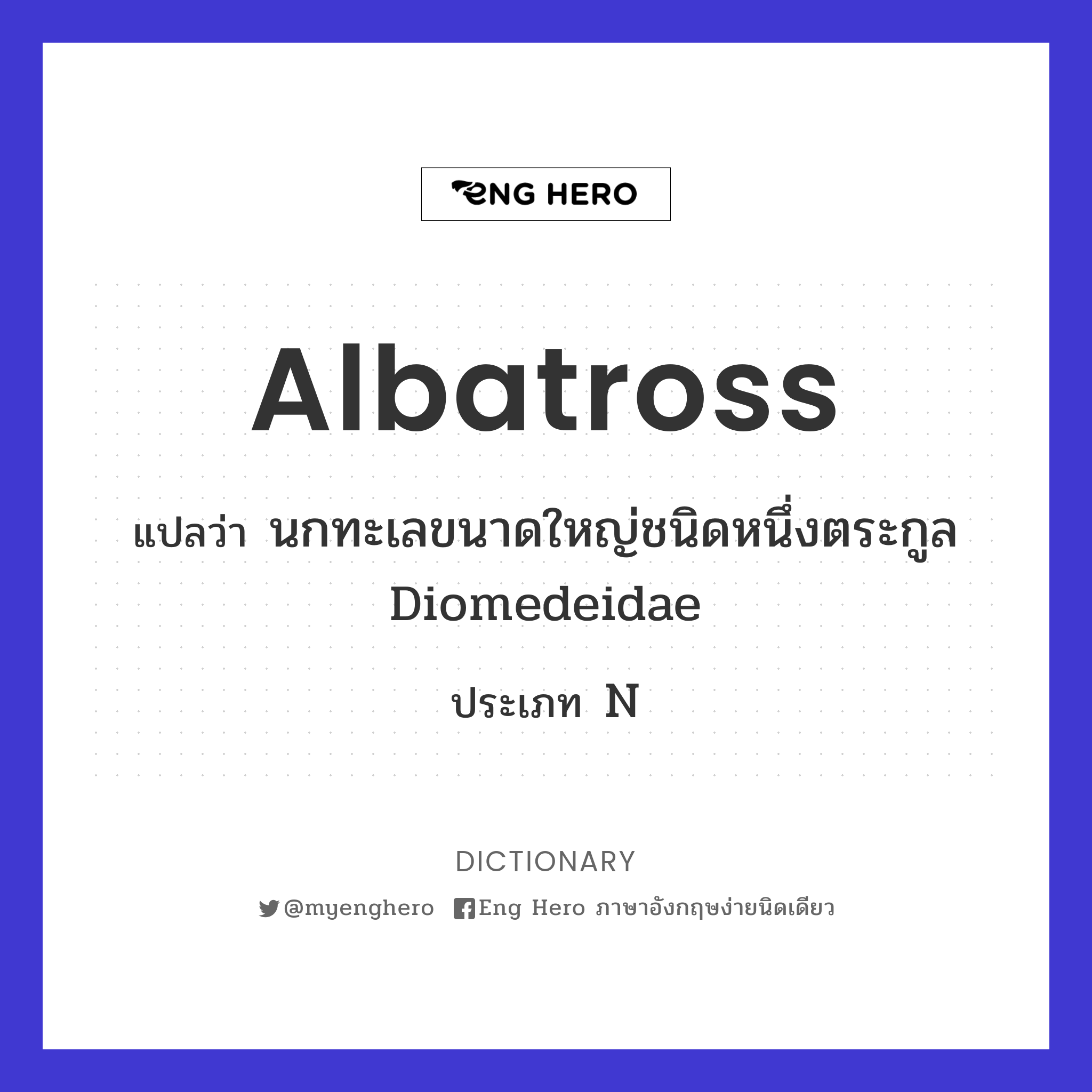 albatross