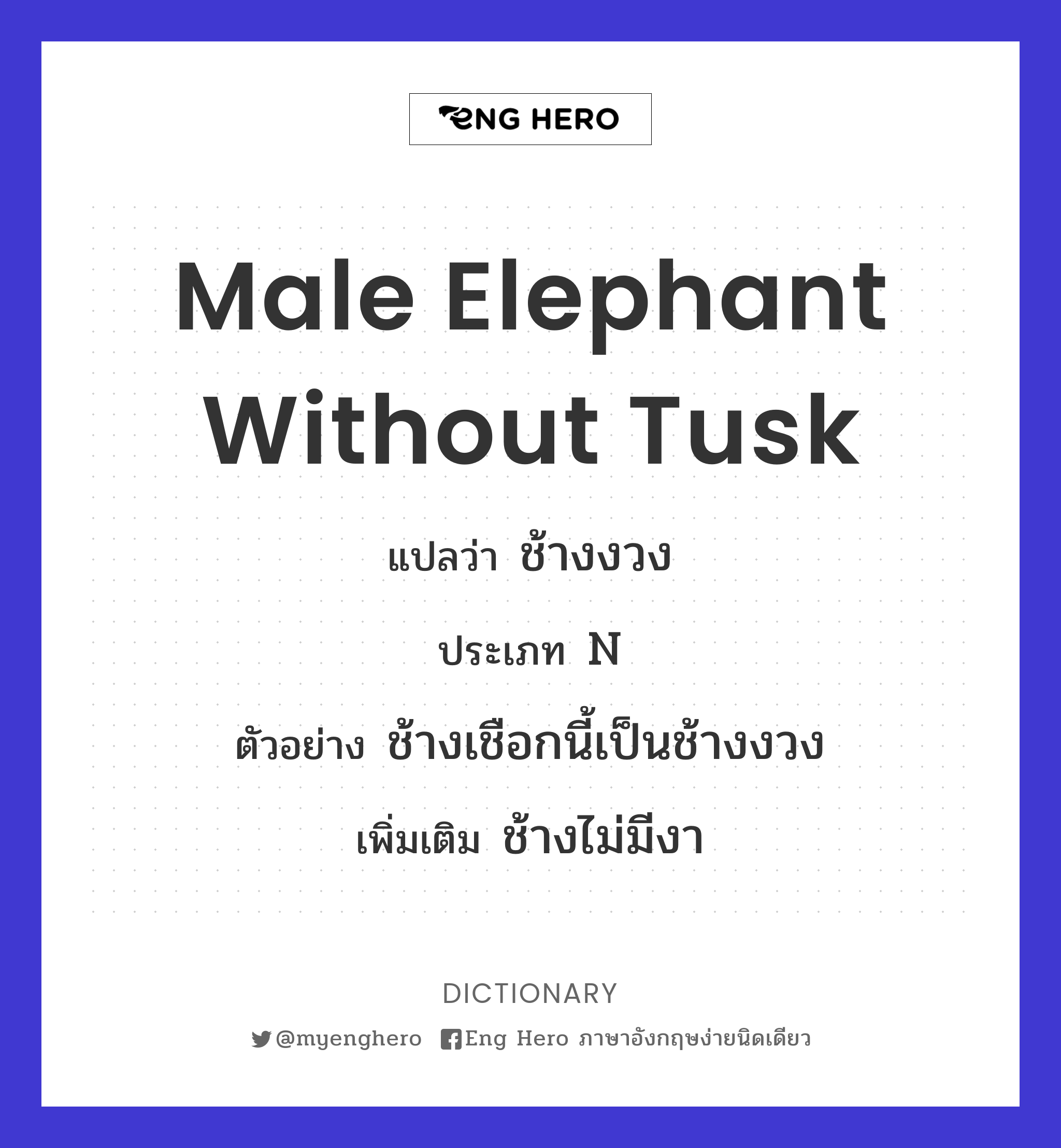 male elephant without tusk