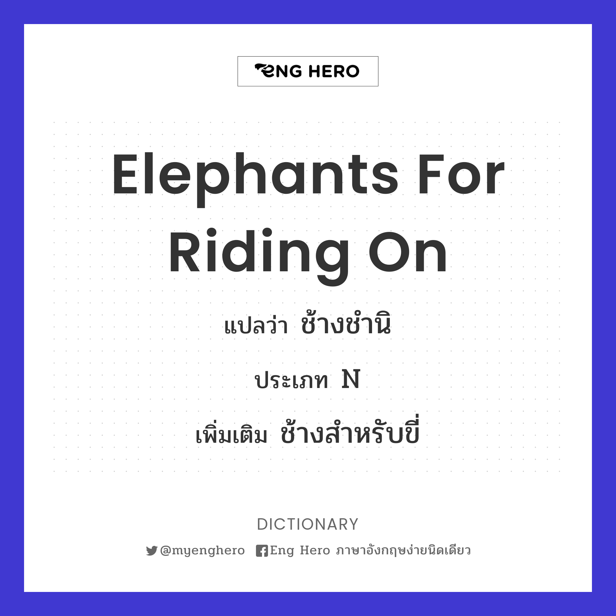 elephants for riding on
