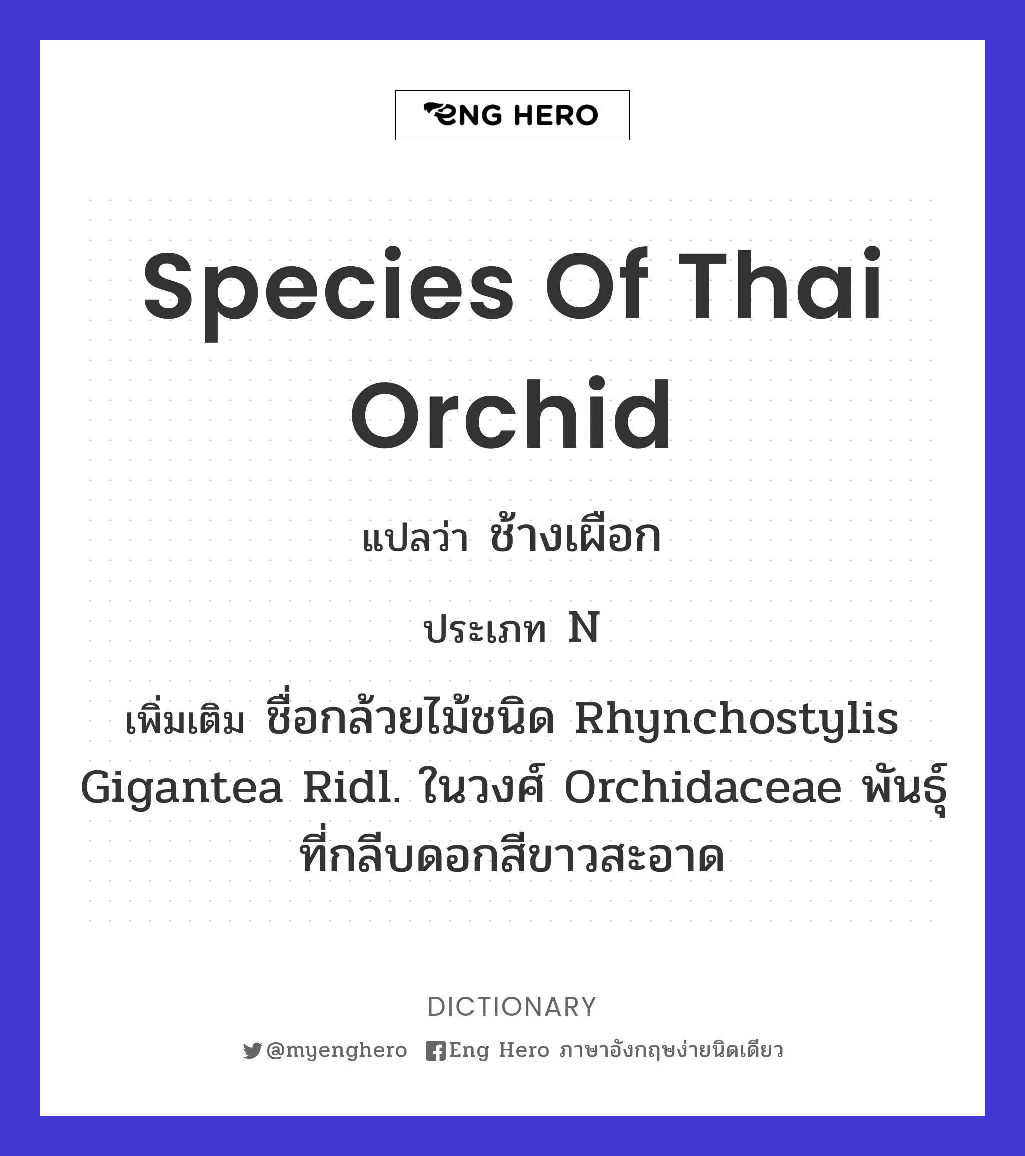 species of Thai orchid