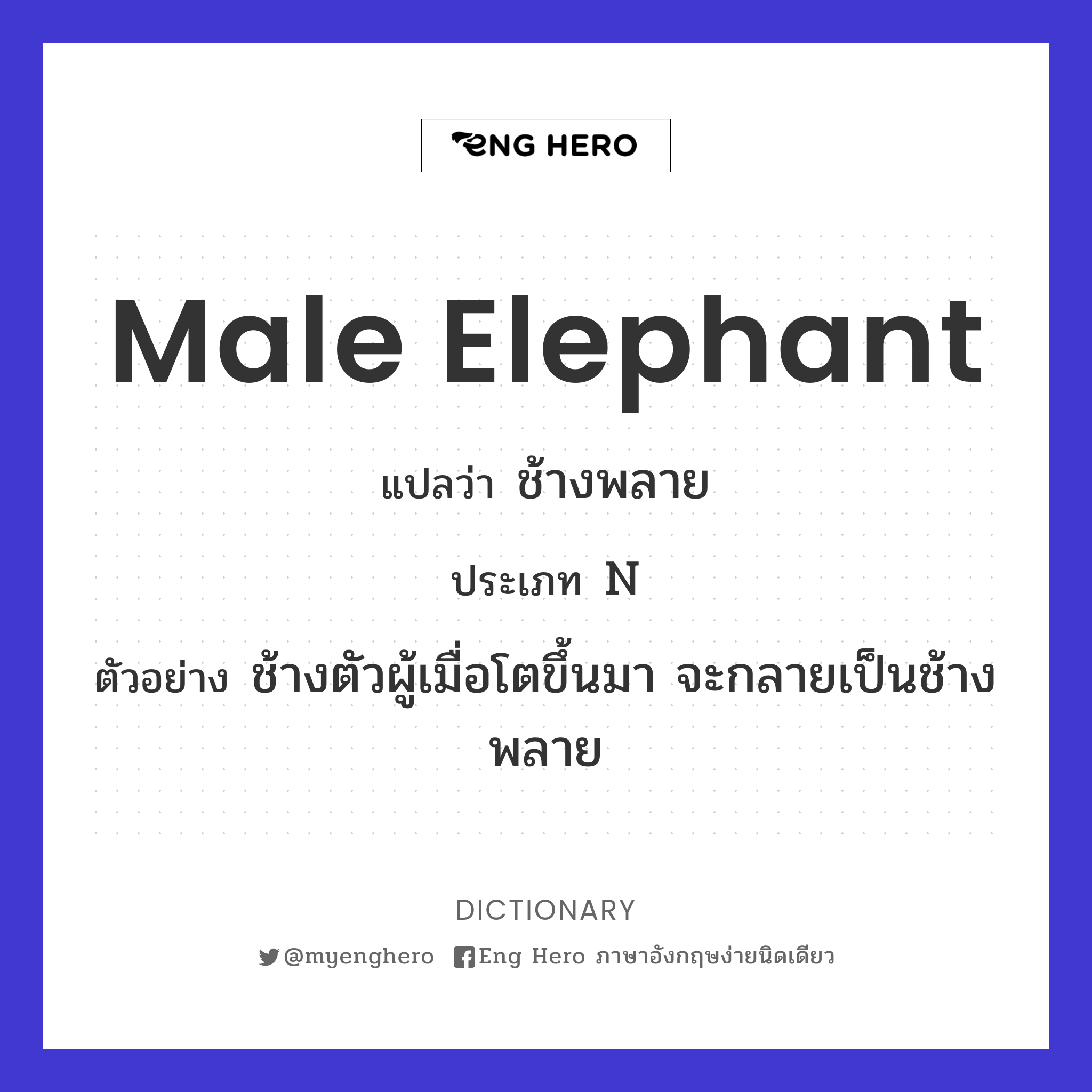 male elephant