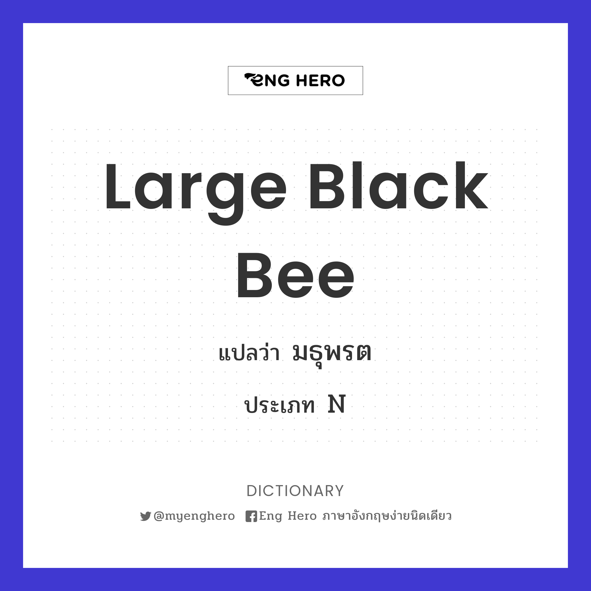 large black bee