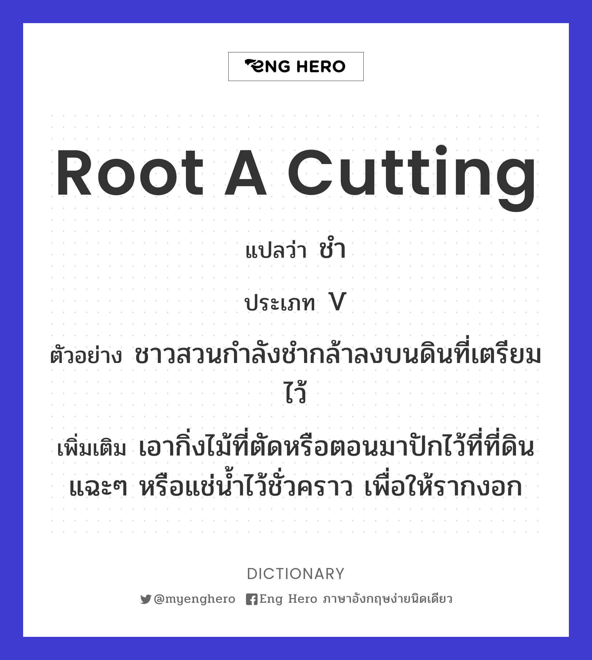 root a cutting