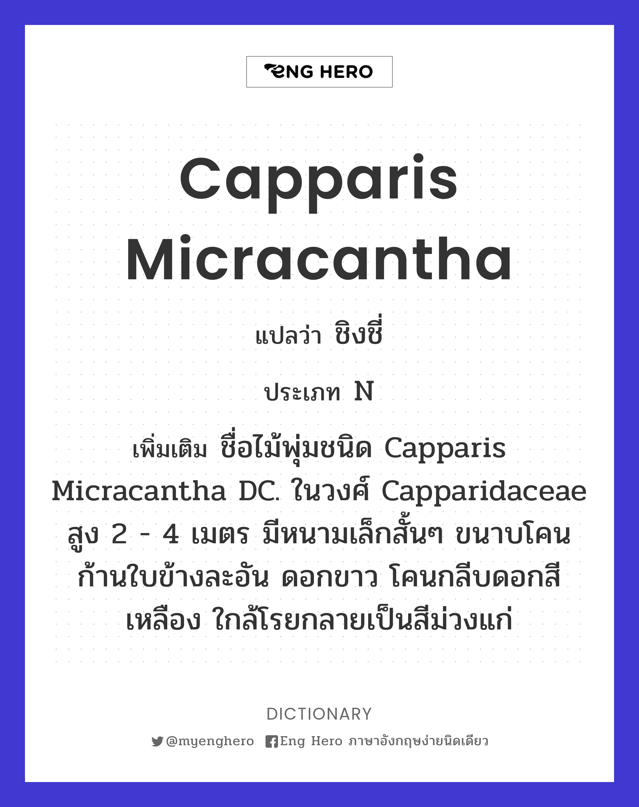 Capparis micracantha