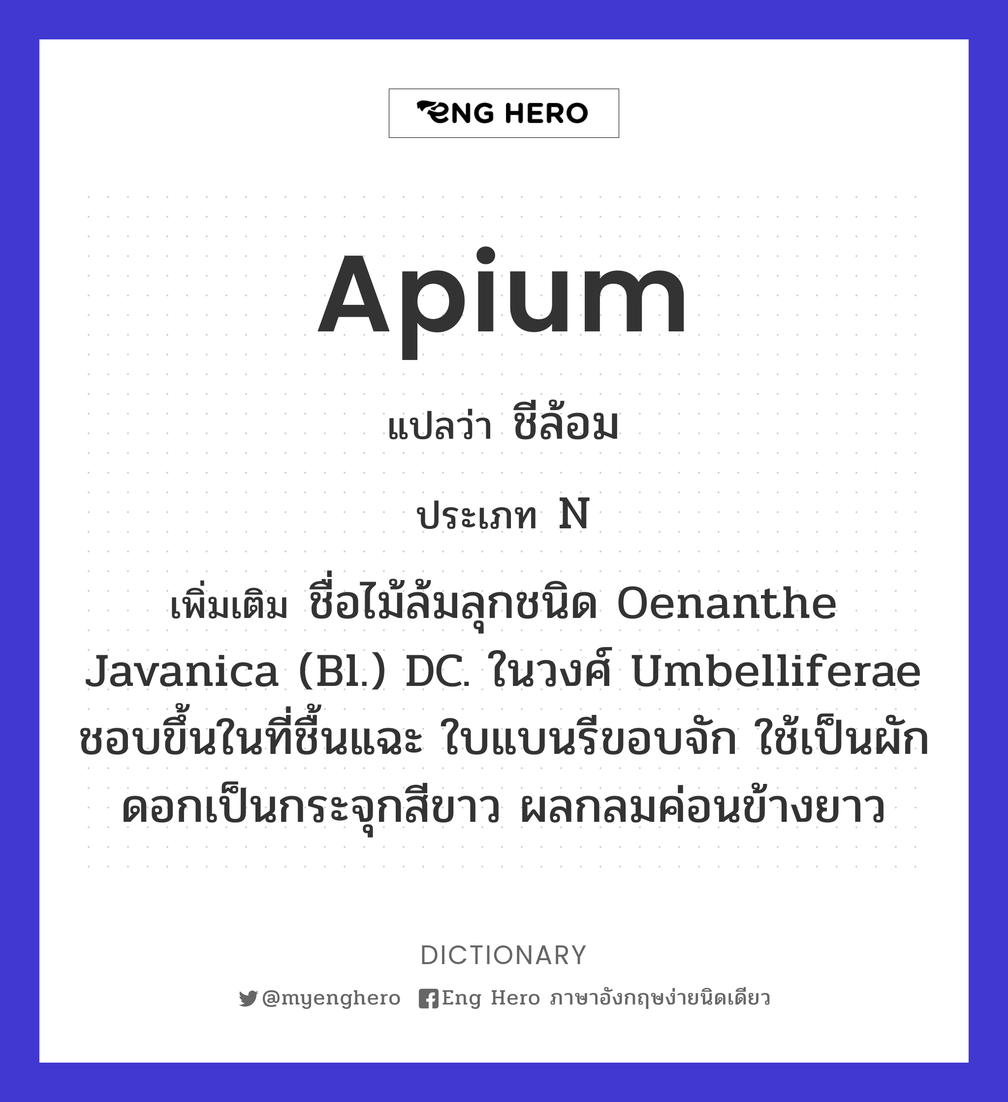 Apium
