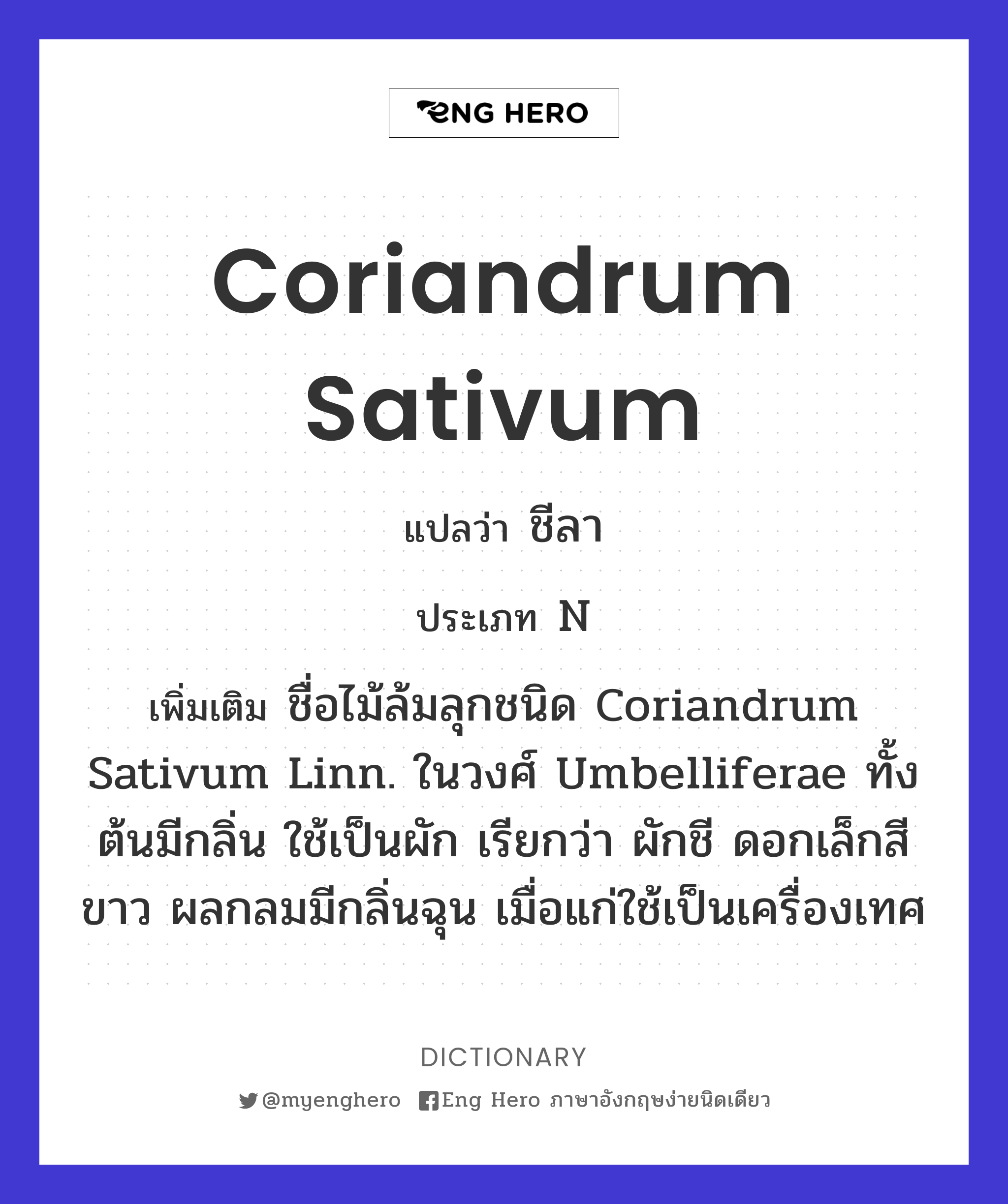 Coriandrum sativum