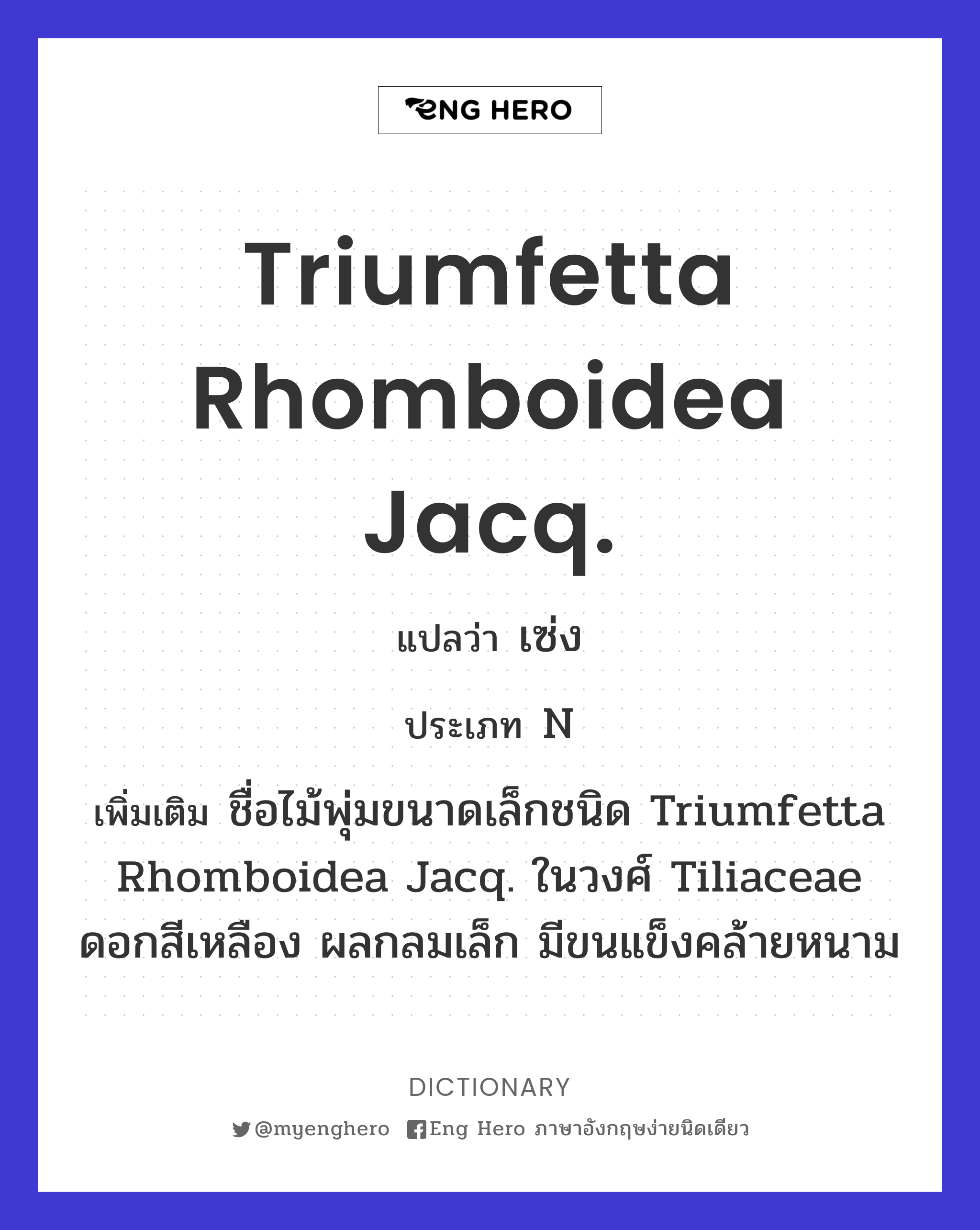 Triumfetta rhomboidea Jacq.