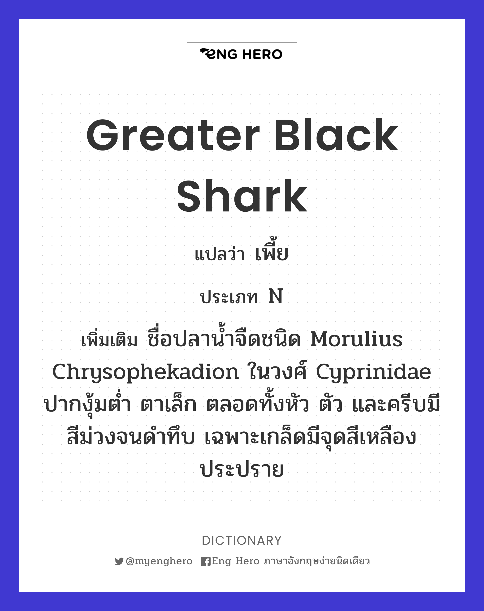 Greater black shark