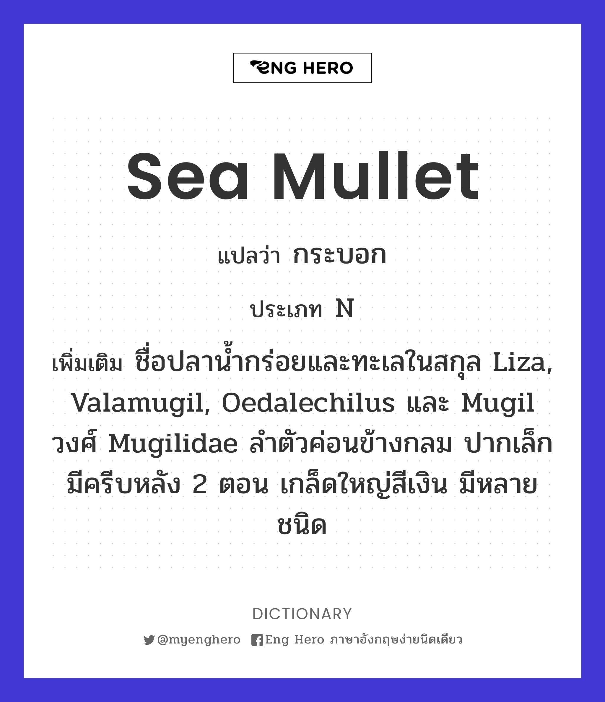 sea mullet
