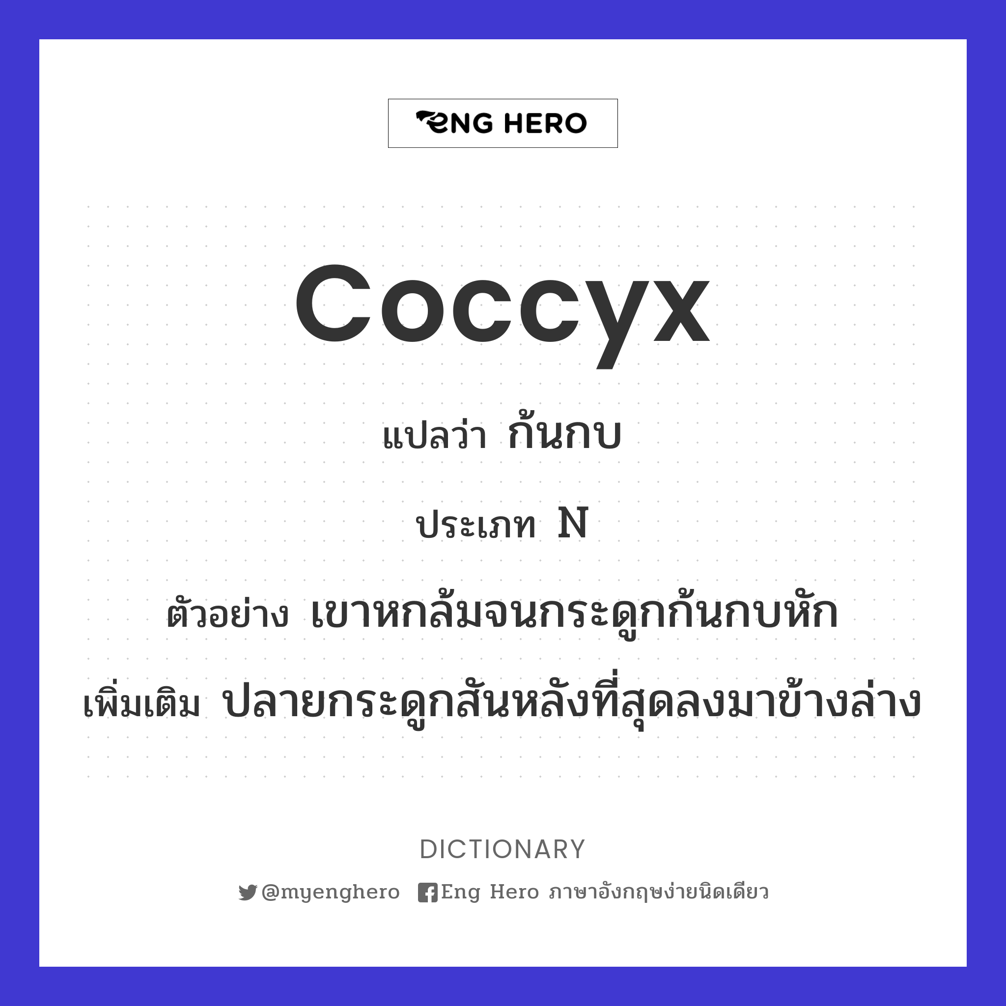 coccyx