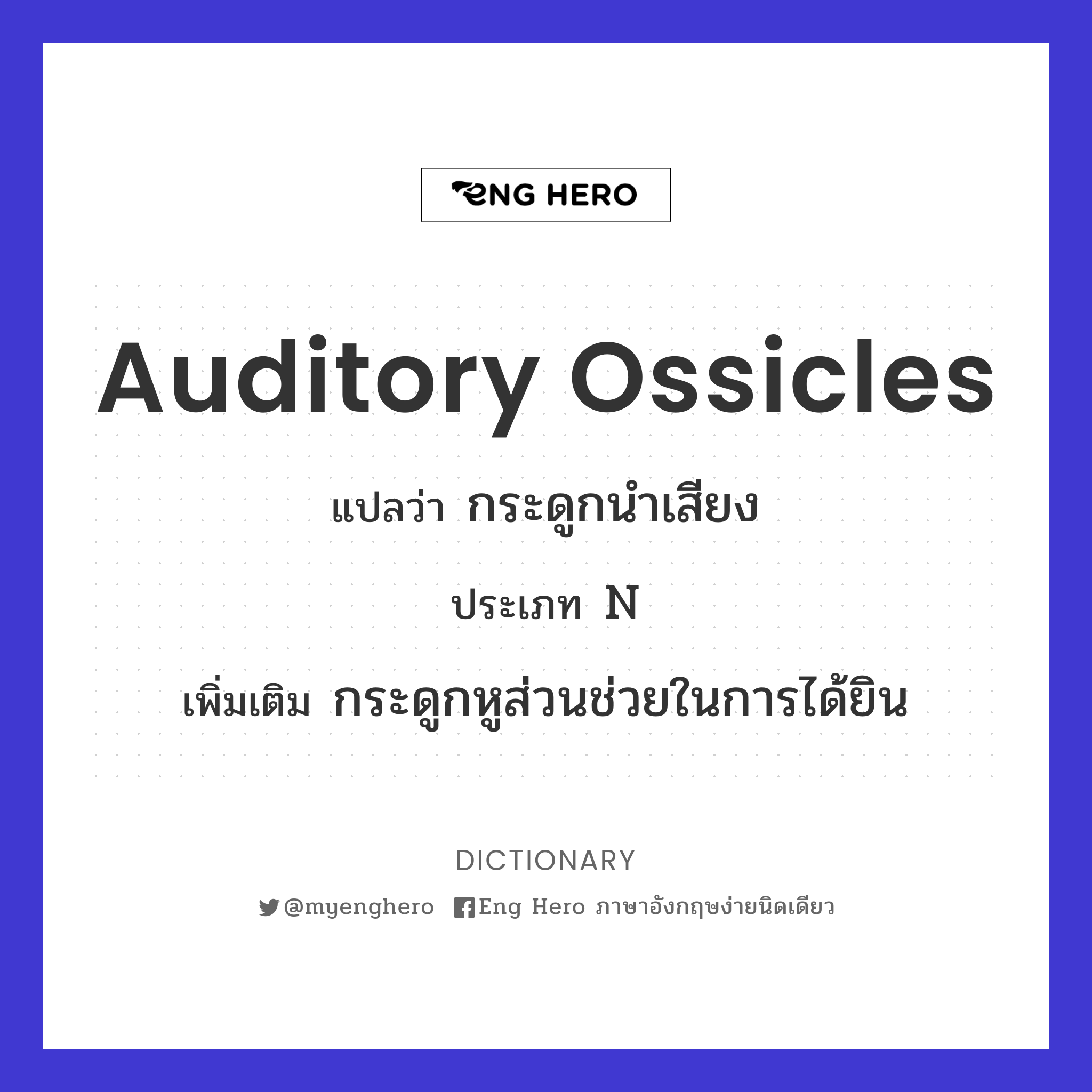 auditory ossicles