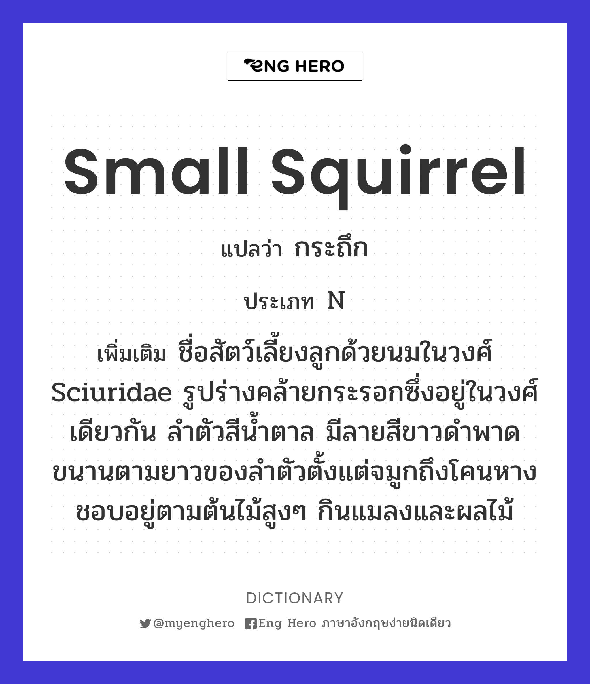small squirrel