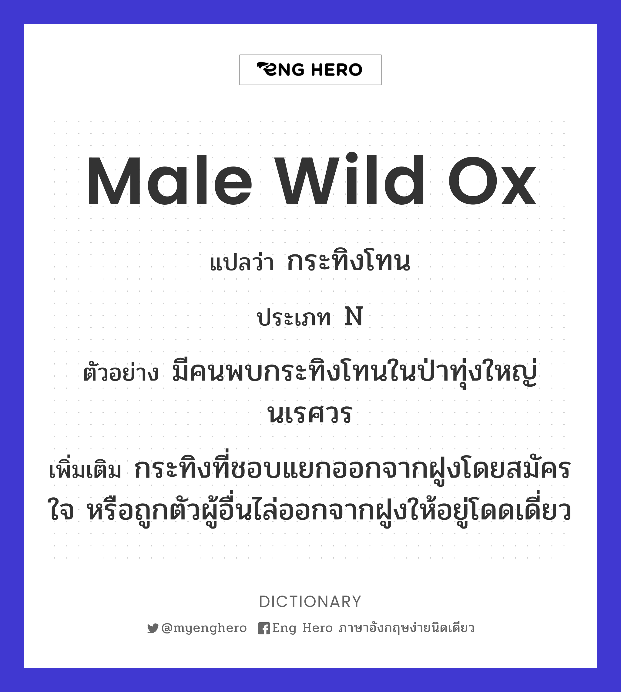 male wild ox