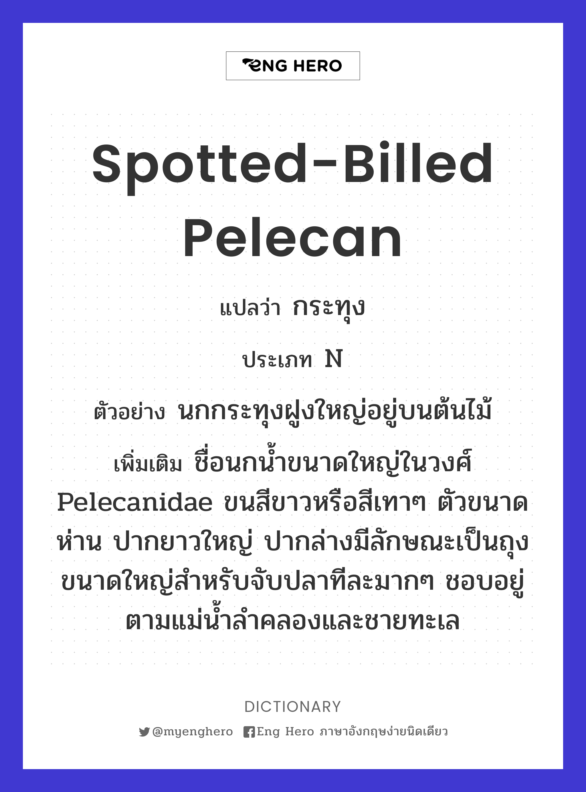 Spotted-billed Pelecan