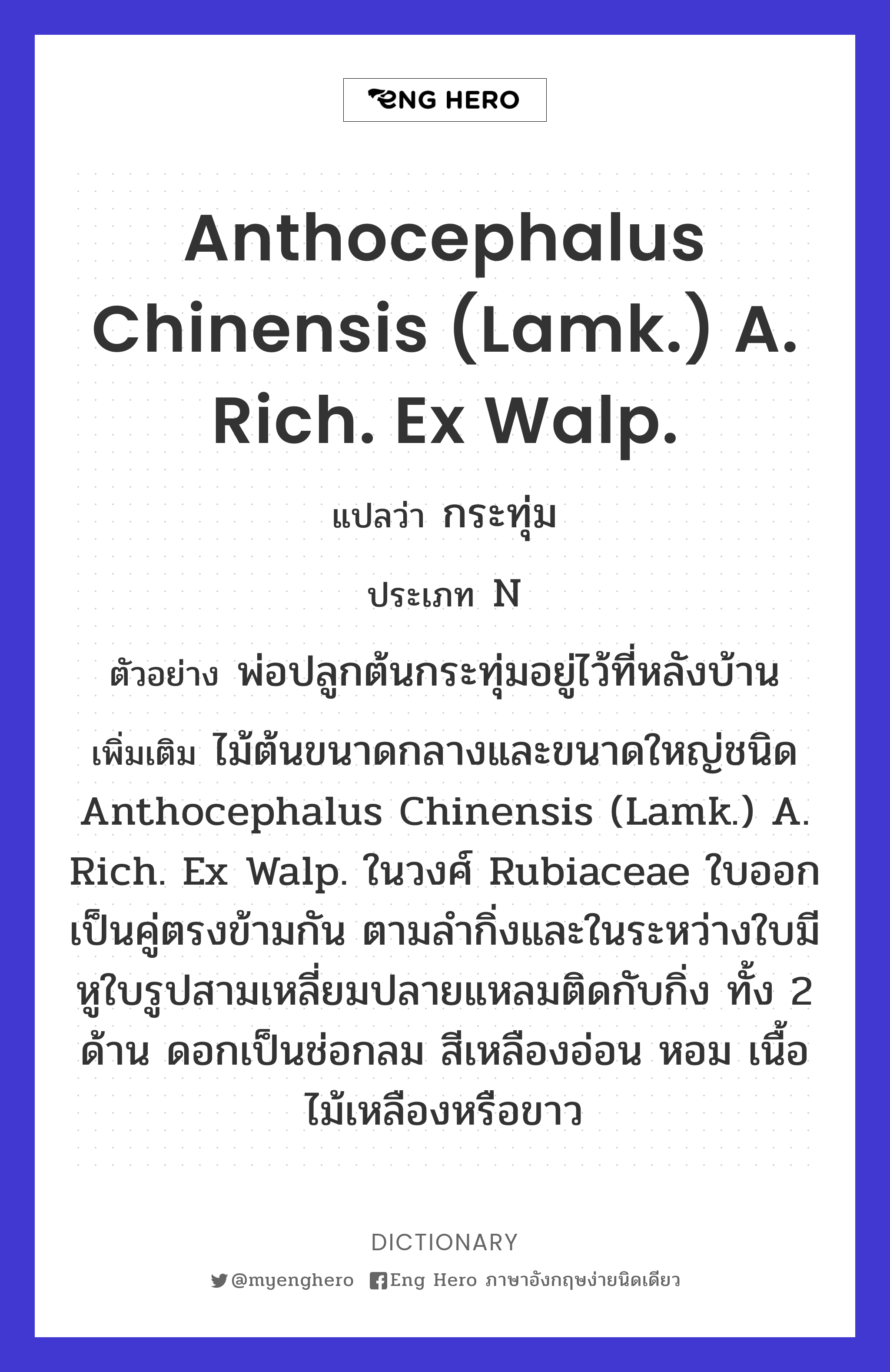 Anthocephalus chinensis (Lamk.) A. Rich. ex Walp.