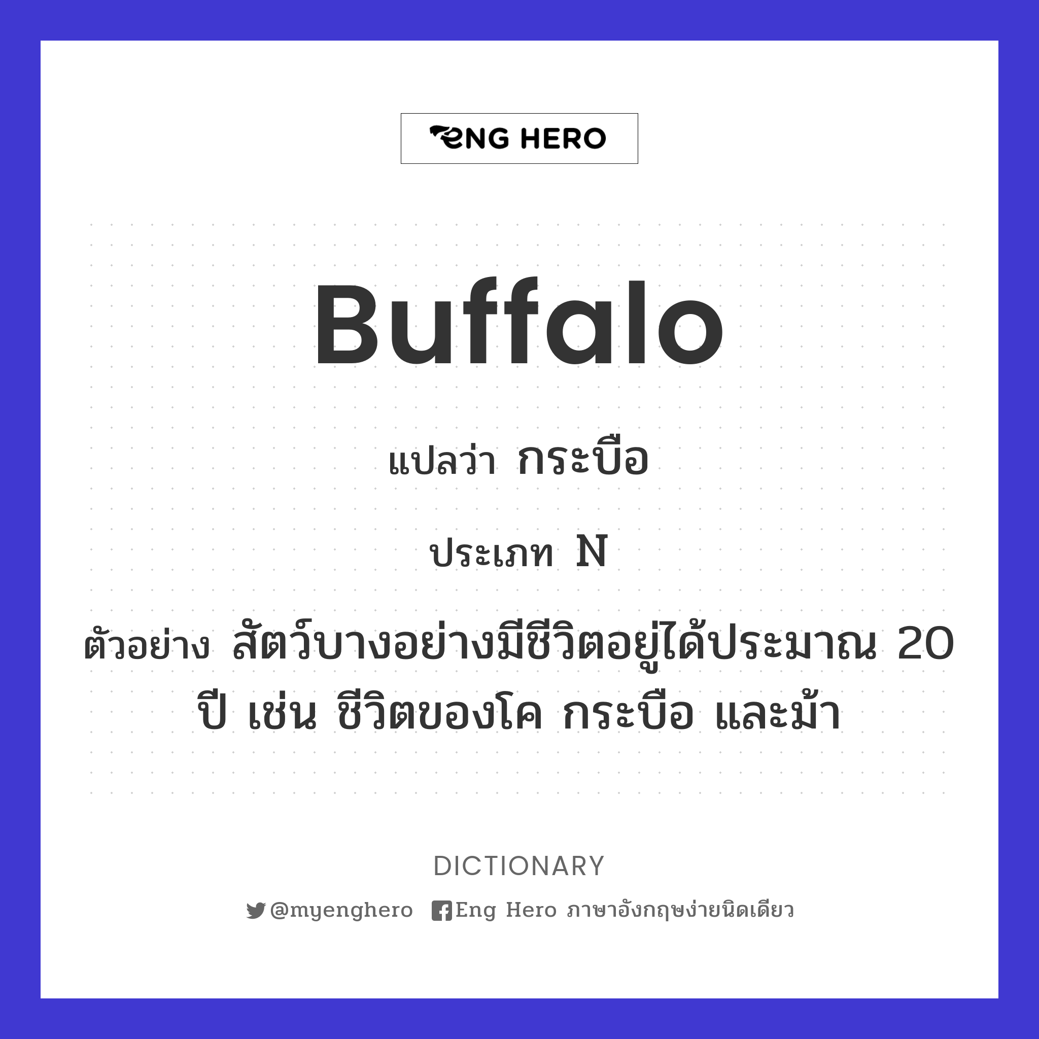 buffalo