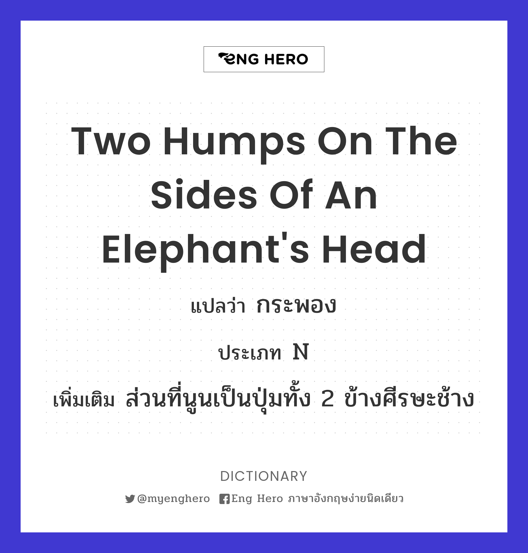 two humps on the sides of an elephant's head