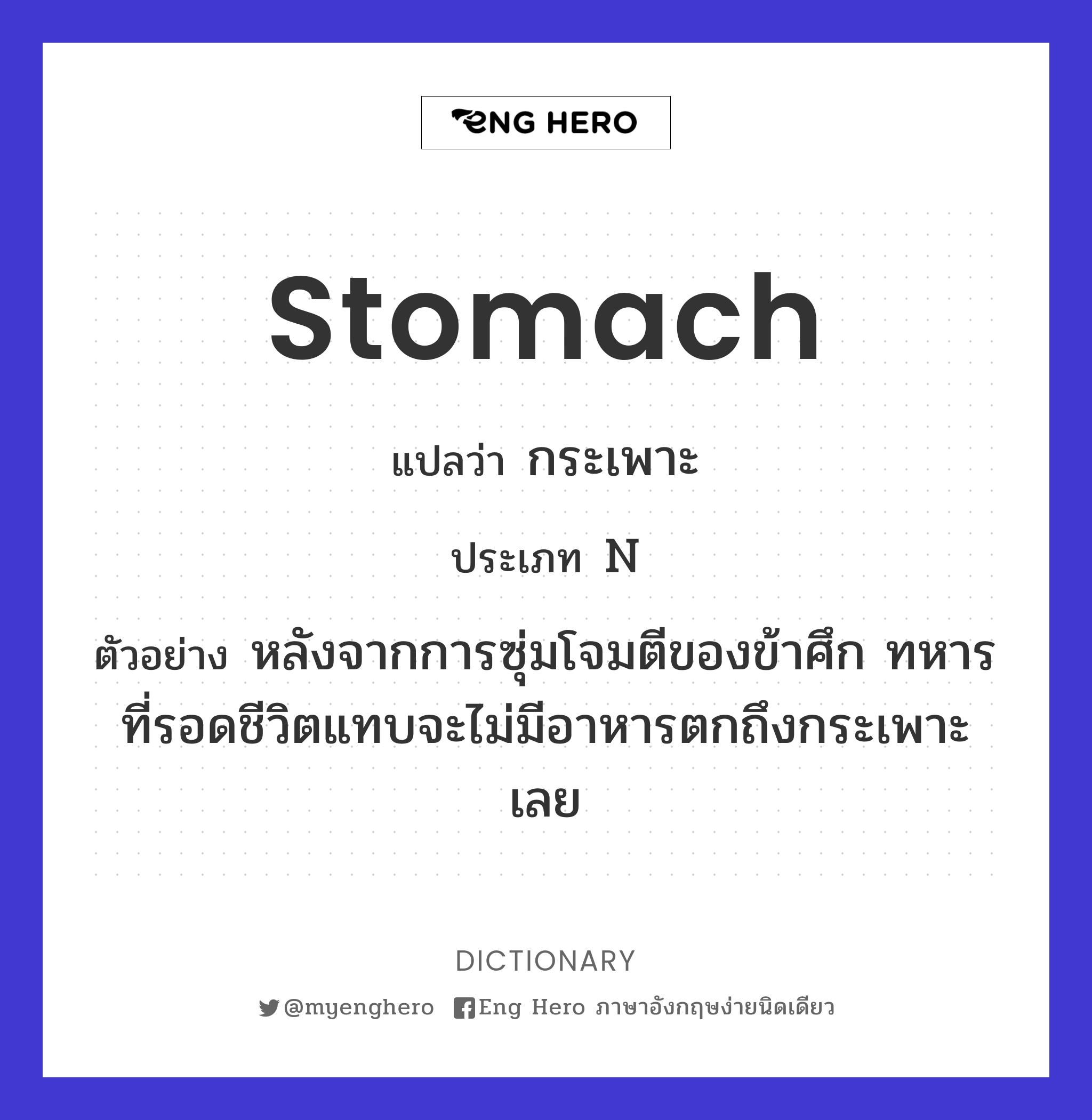 stomach