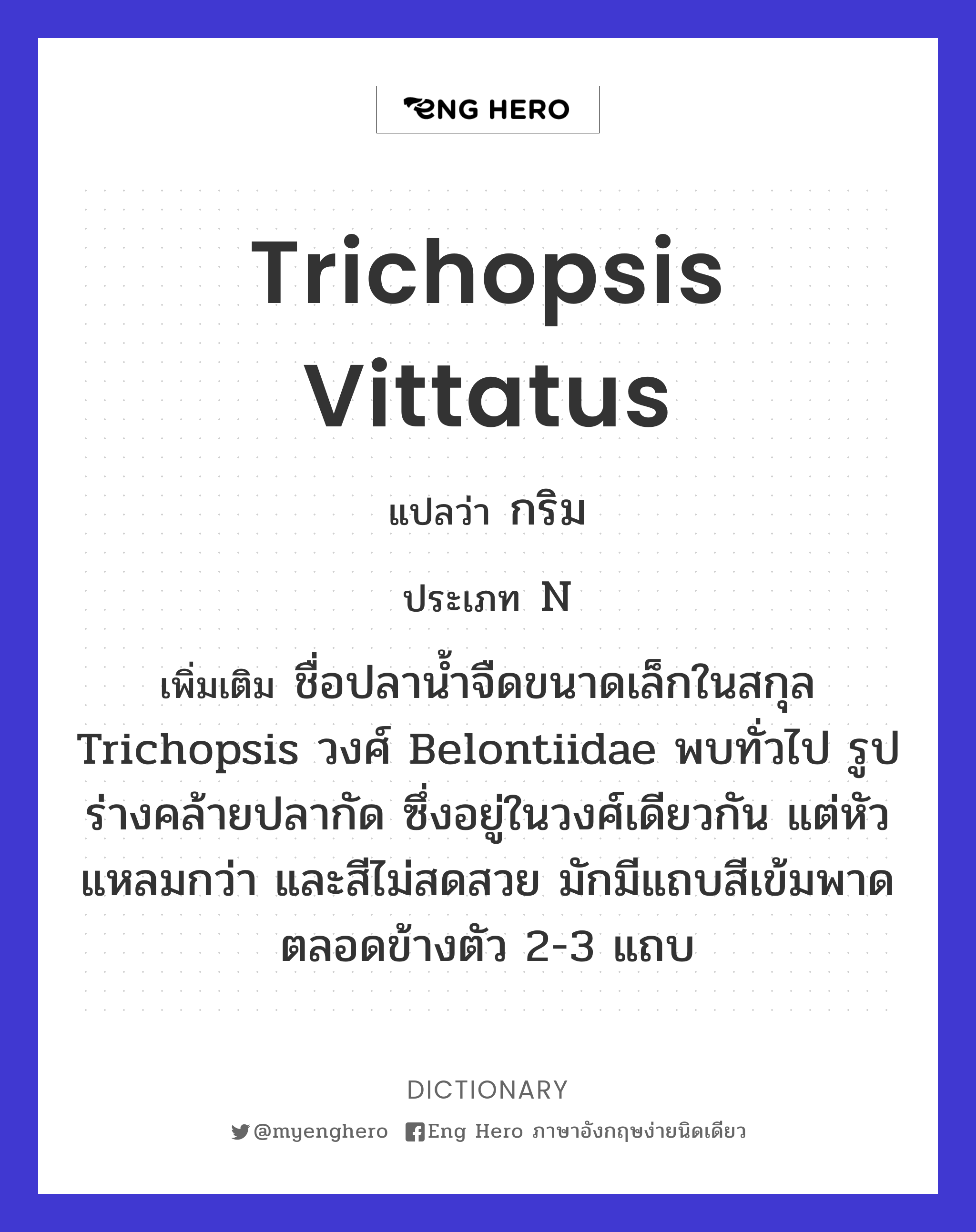 Trichopsis vittatus