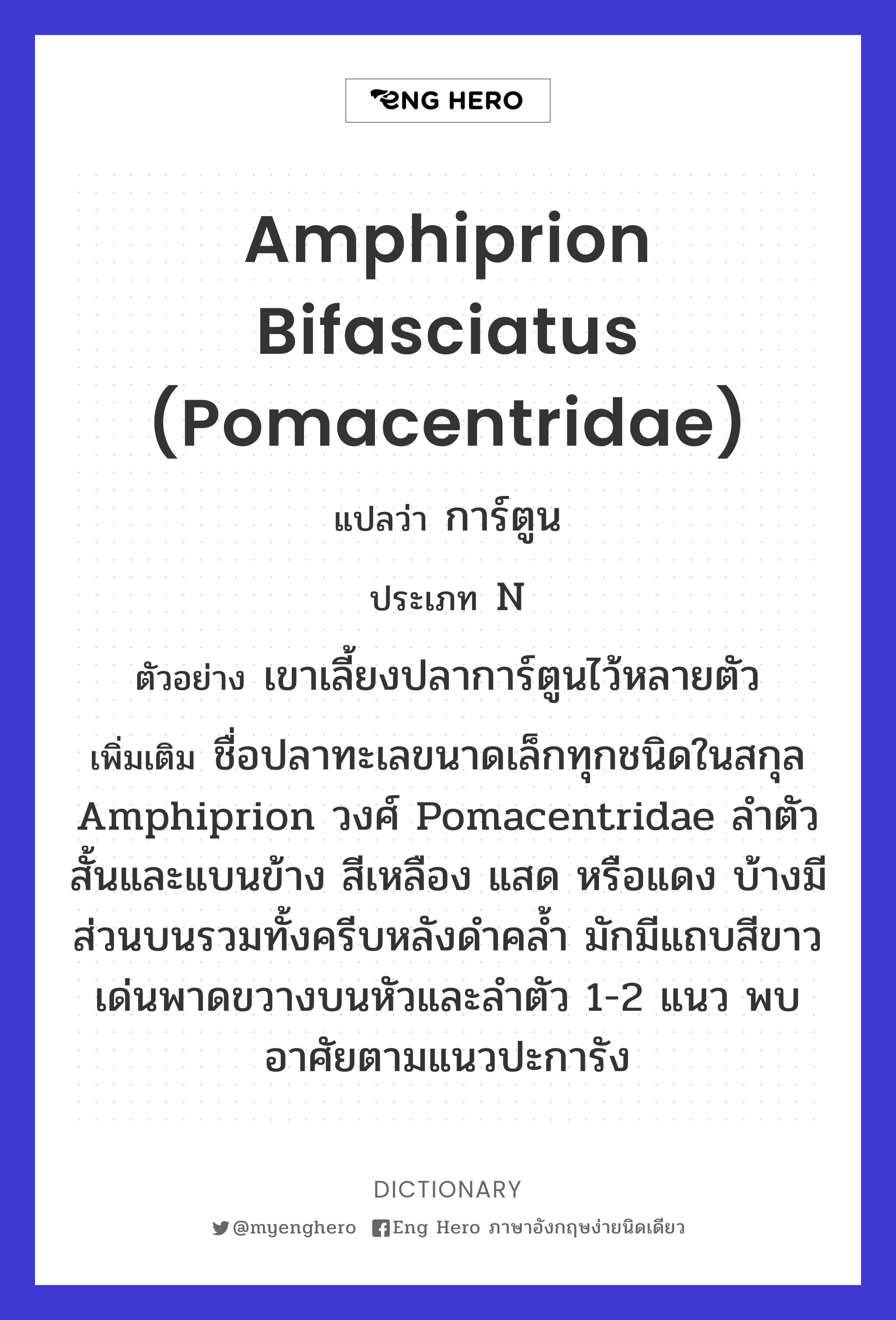 Amphiprion bifasciatus (Pomacentridae)