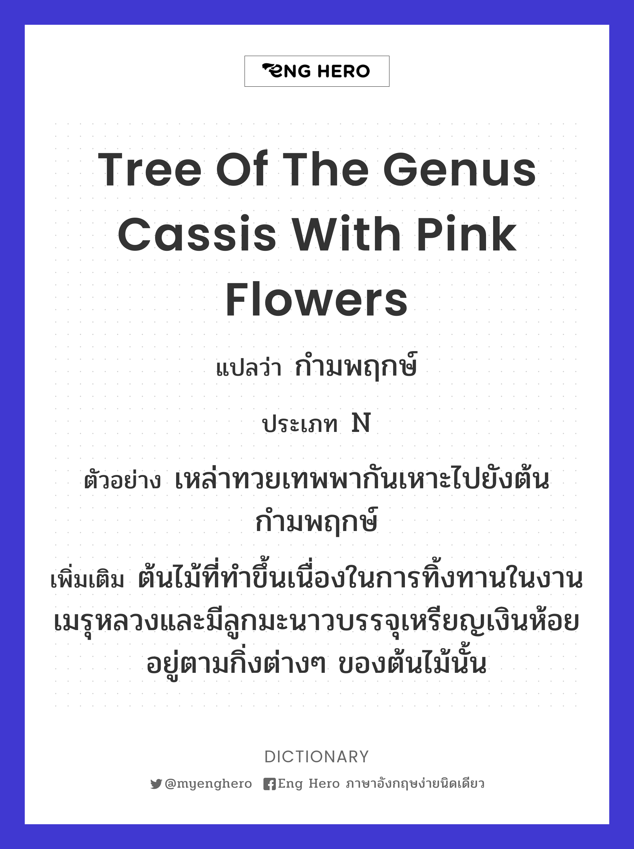 tree of the genus cassis with pink flowers