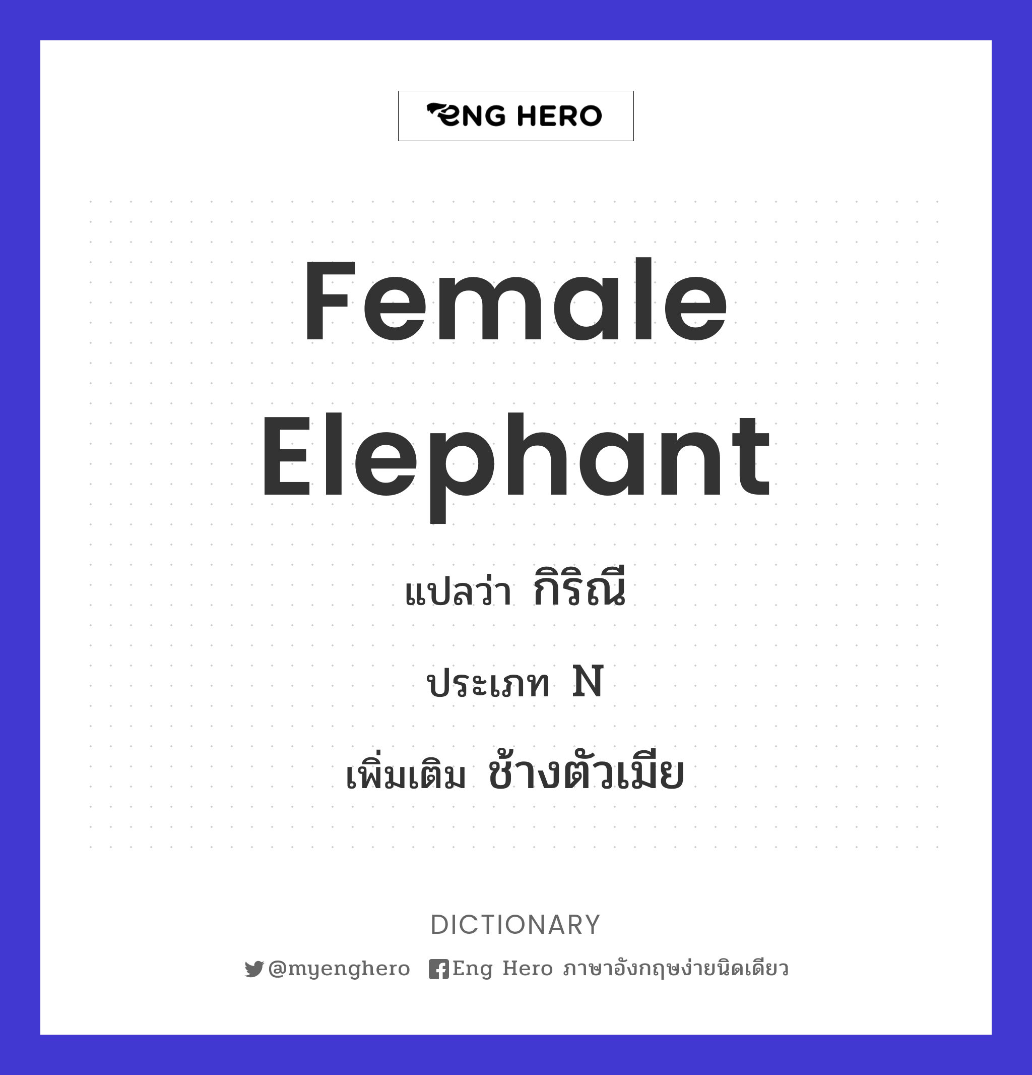 female elephant