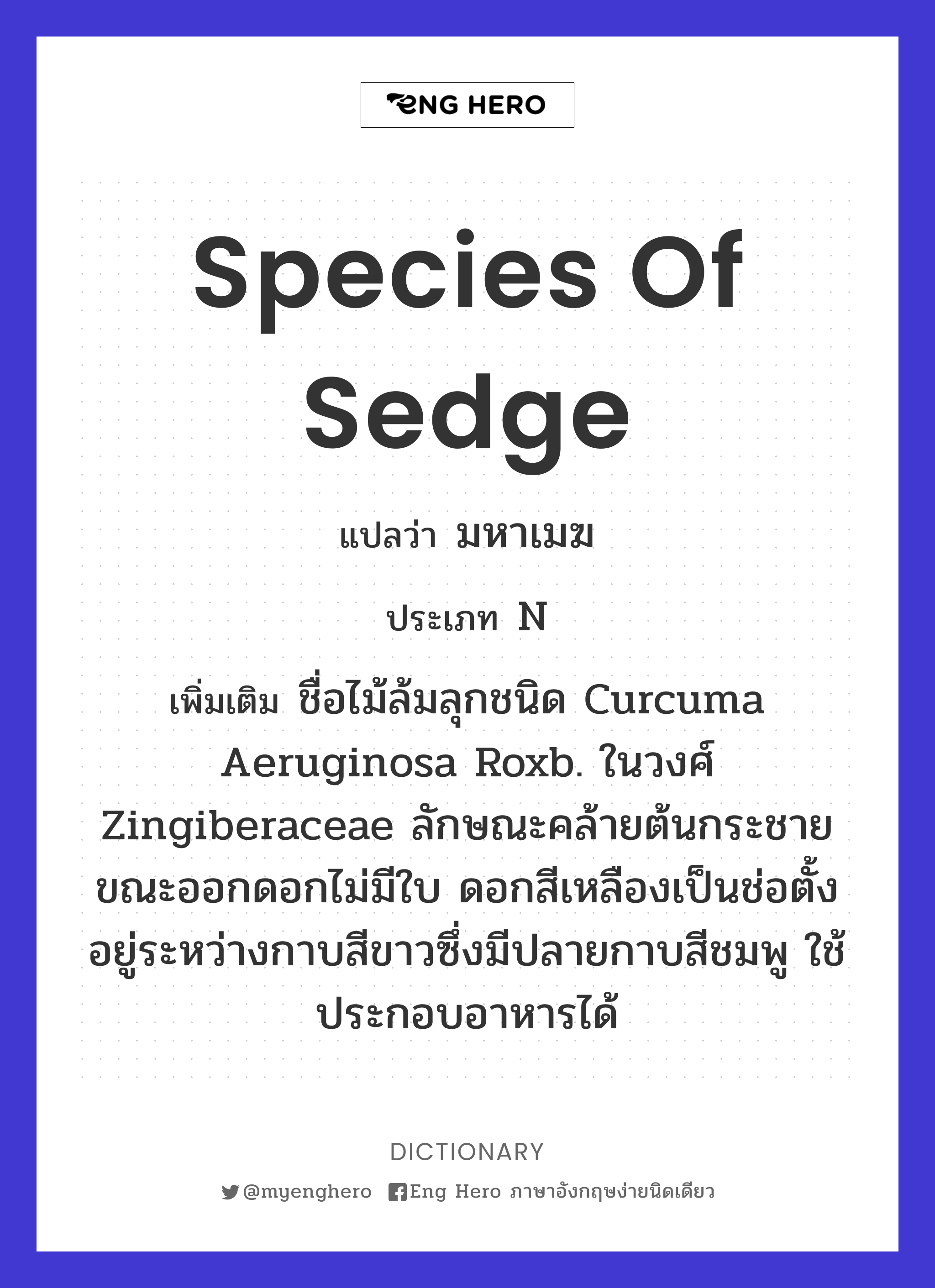 species of sedge